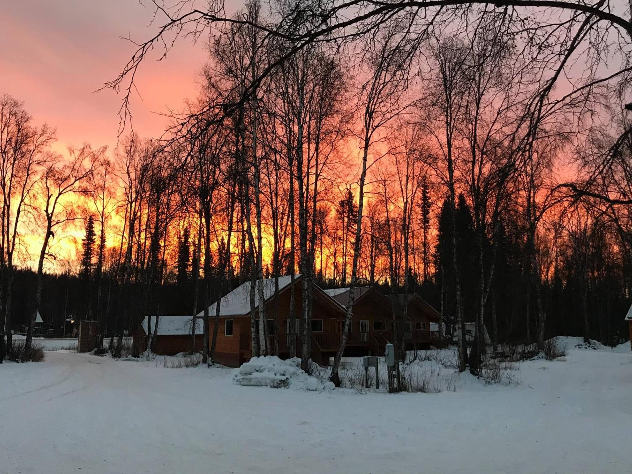 Riverside Cabins at Susitna River Lodge view 5