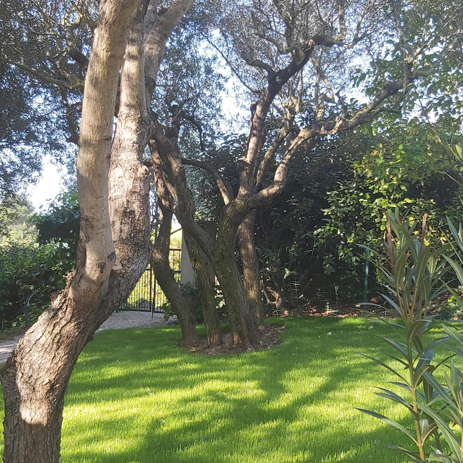 Photo 41