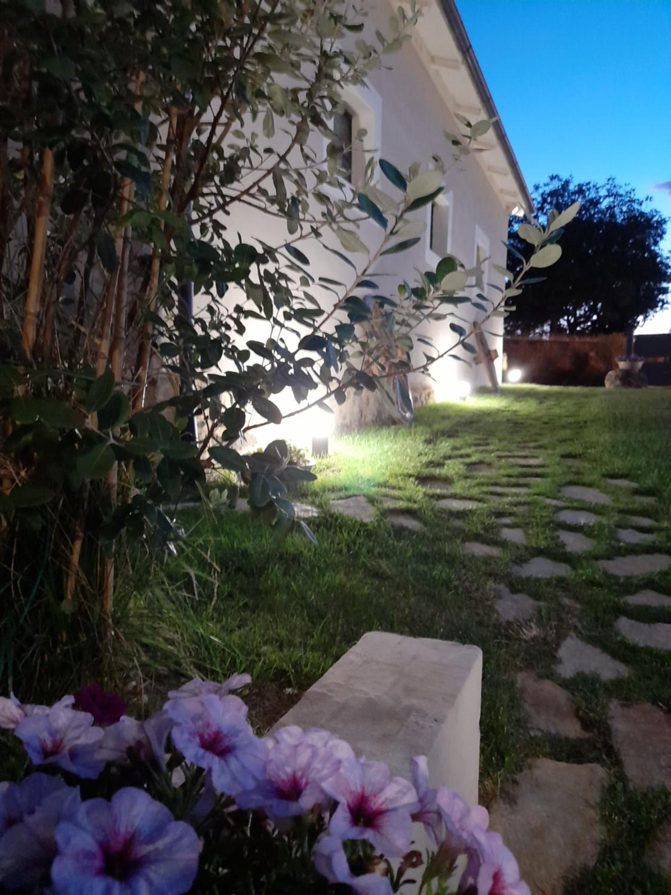Photo 27