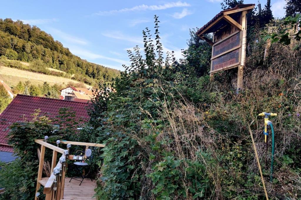 Gemütliches Fachwerkhaus im Mittelgebirge Hessen Thüringen