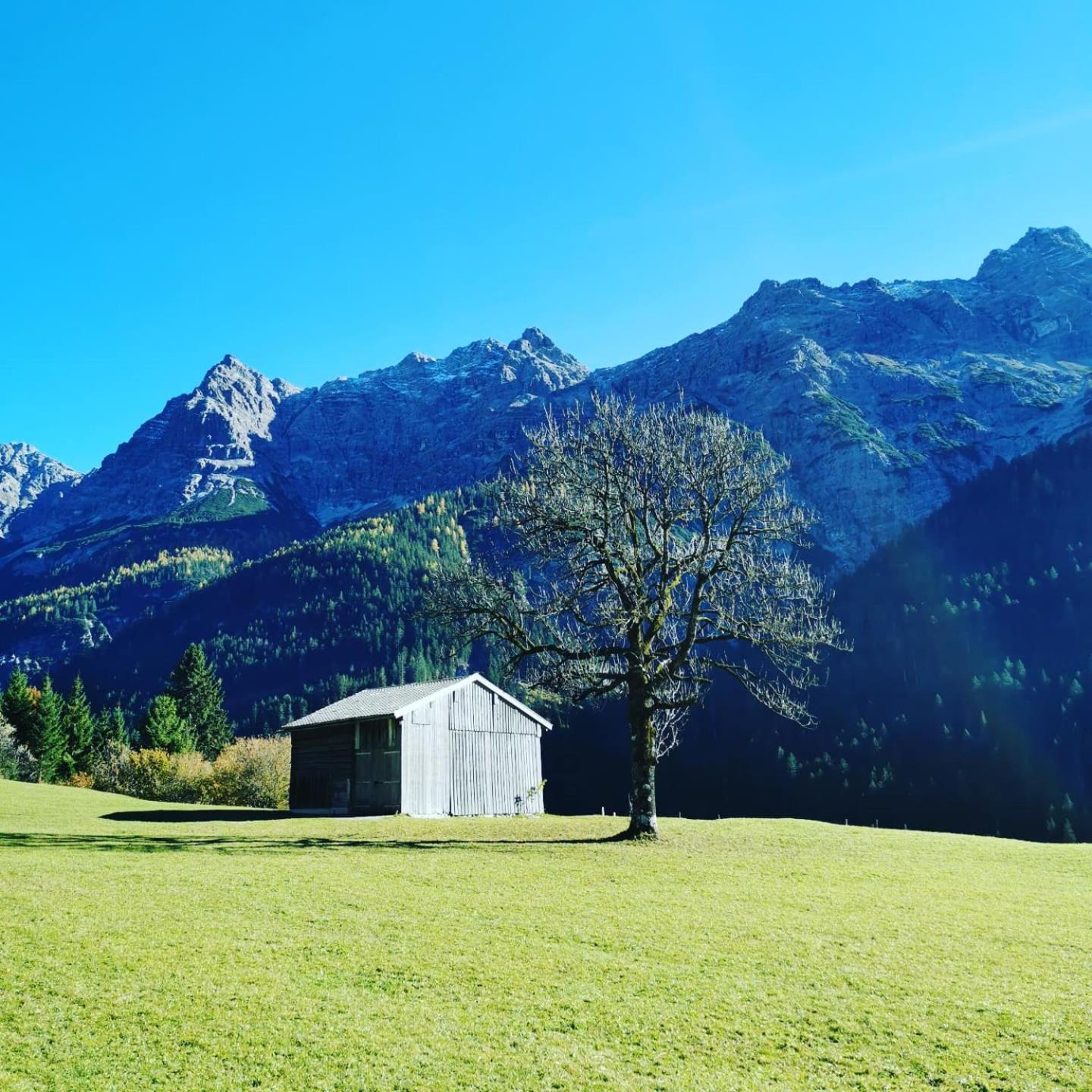 Ferienhaus Hochvogel