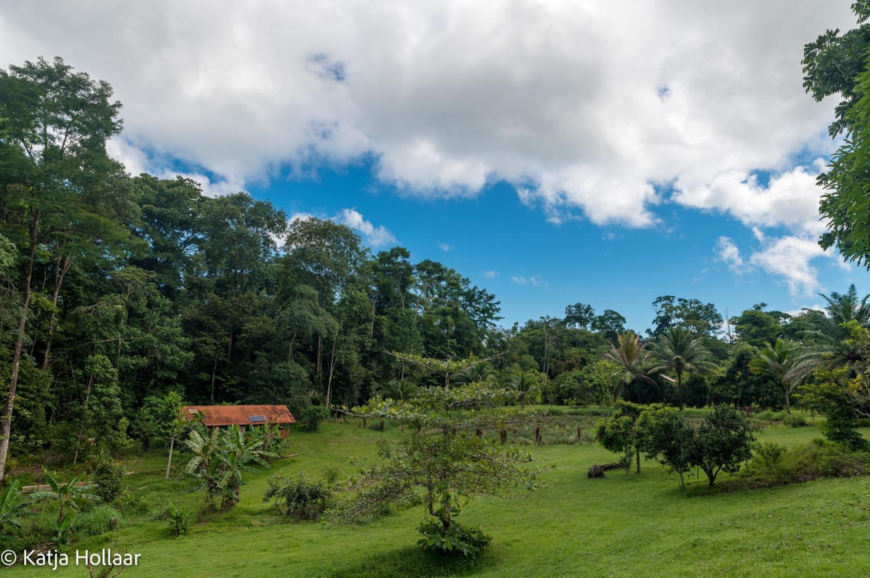 Eco Lodge&Farm Rustic Roots Reserve