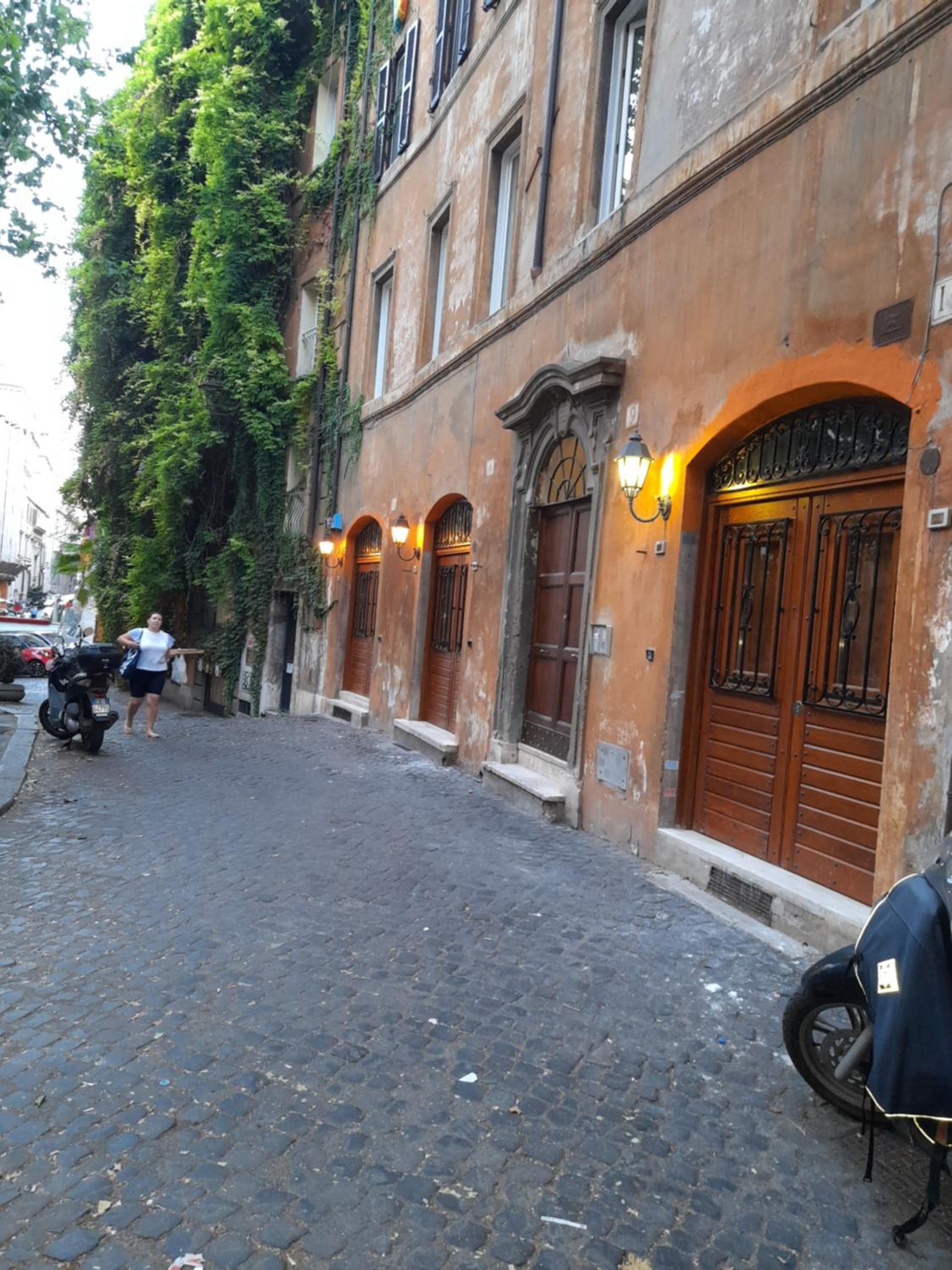 Navona Artist 7 APT