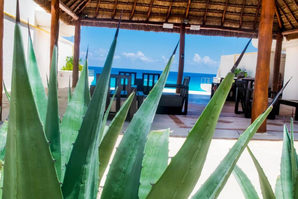 Ocean view apartment, best beach area, 3 bedrooms