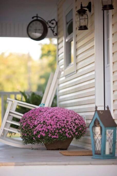 Stonehill Cottages