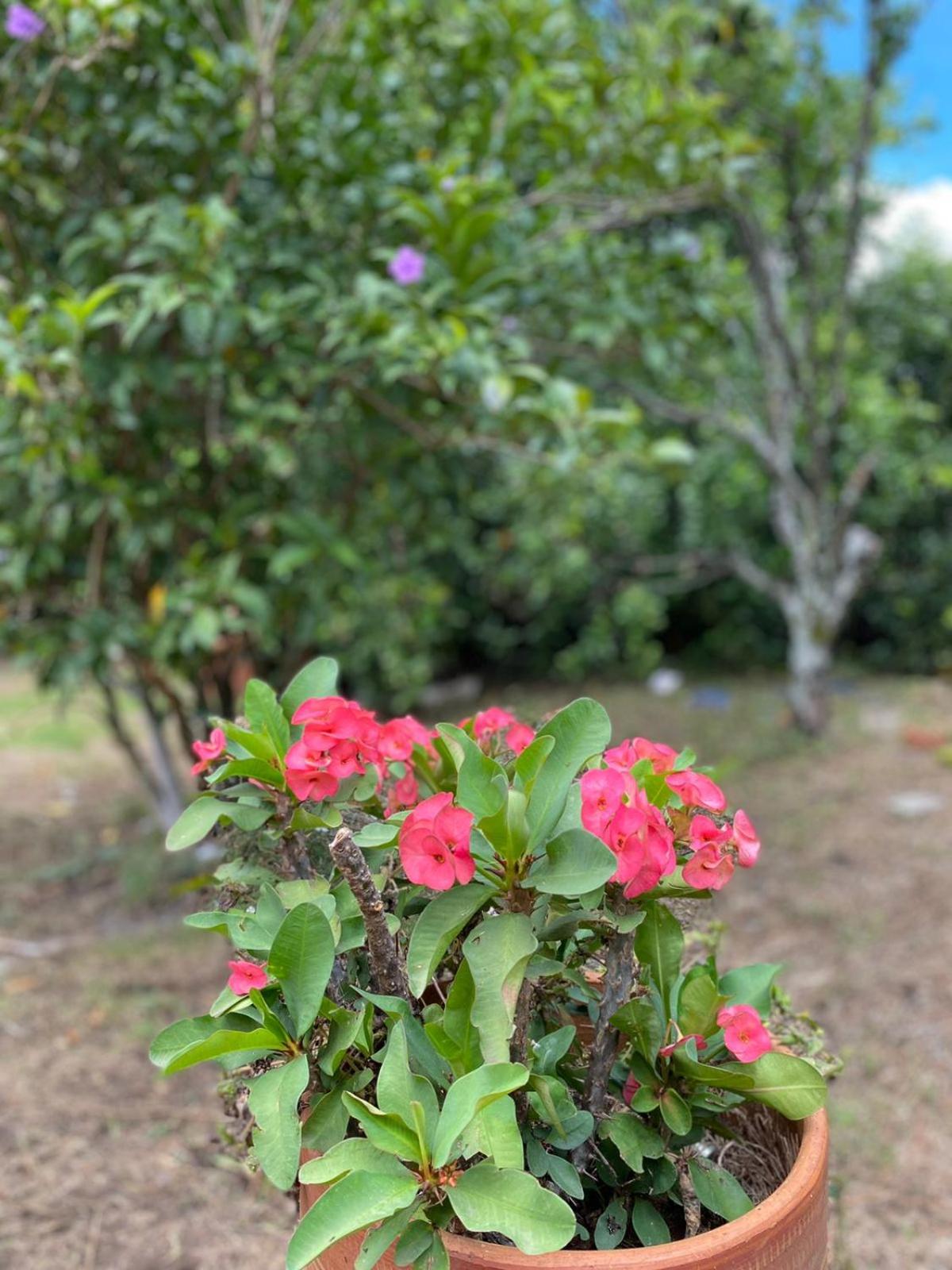 Finca el Paraíso