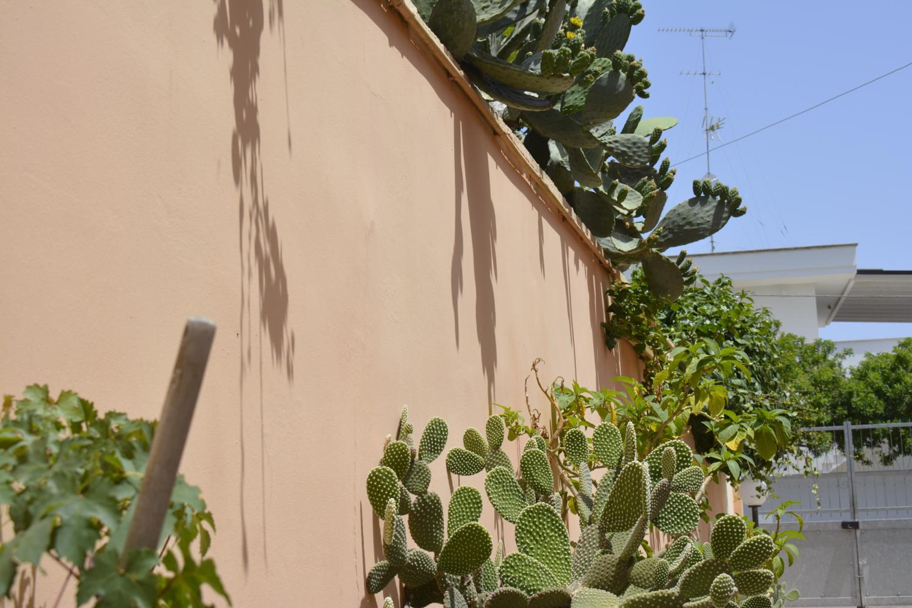 Casa Vacanza Pietro e Nina