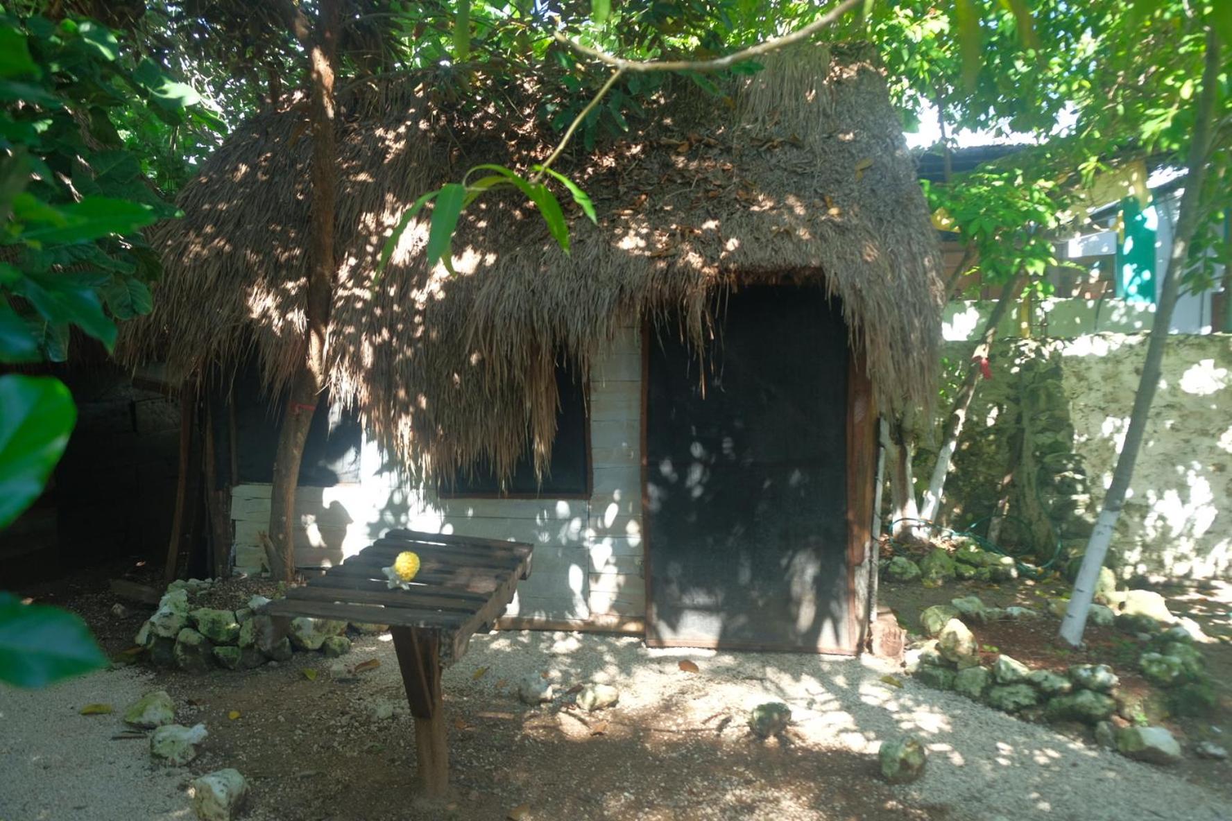 Photo 43