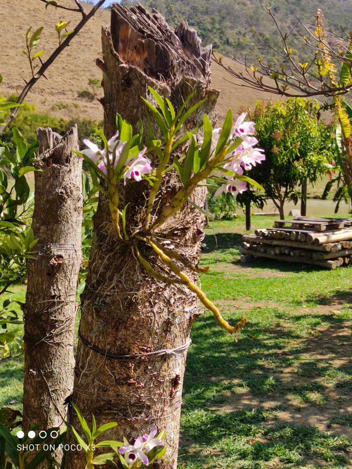 Sítio Vista da Serra