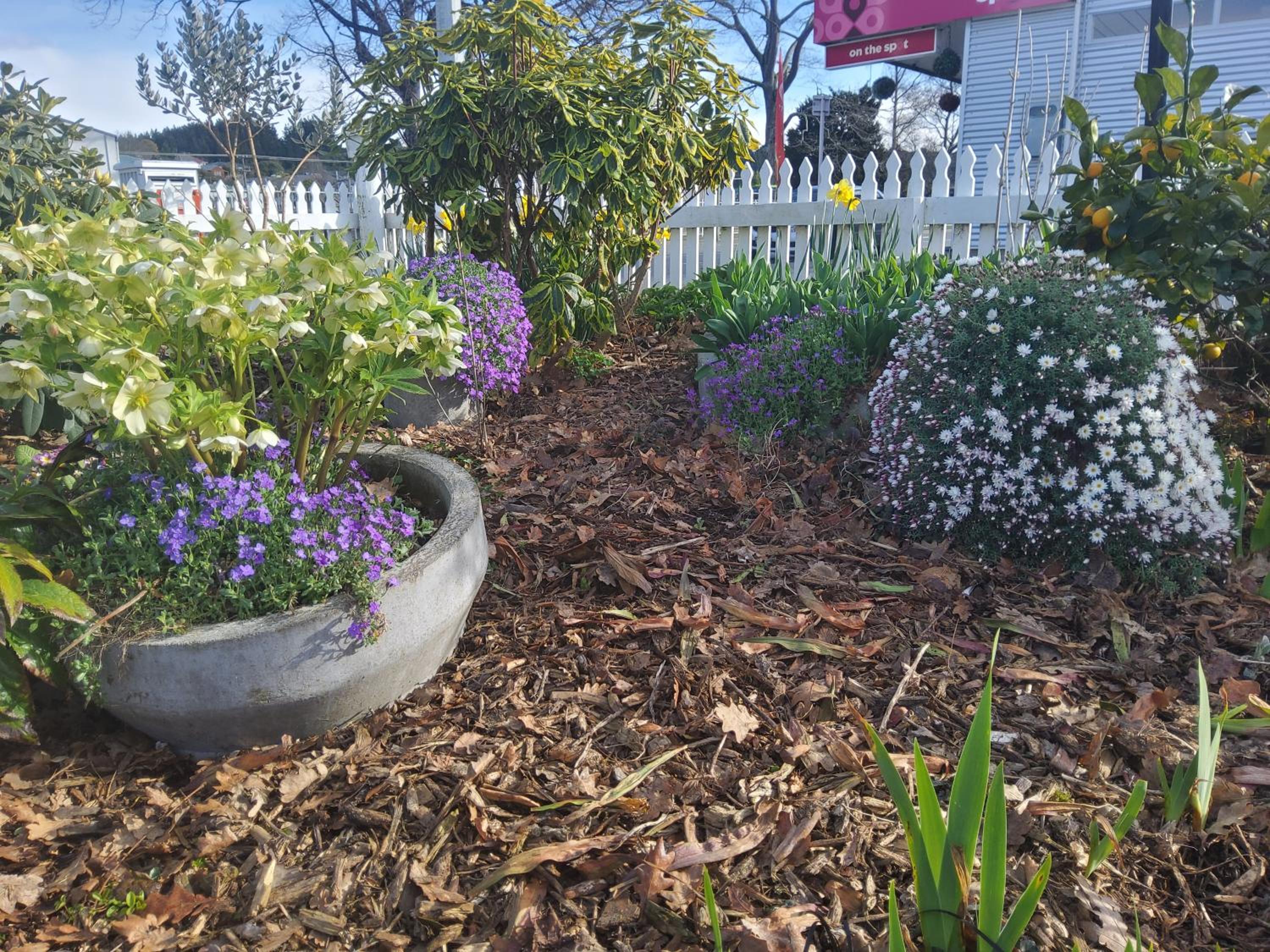 Photo 19