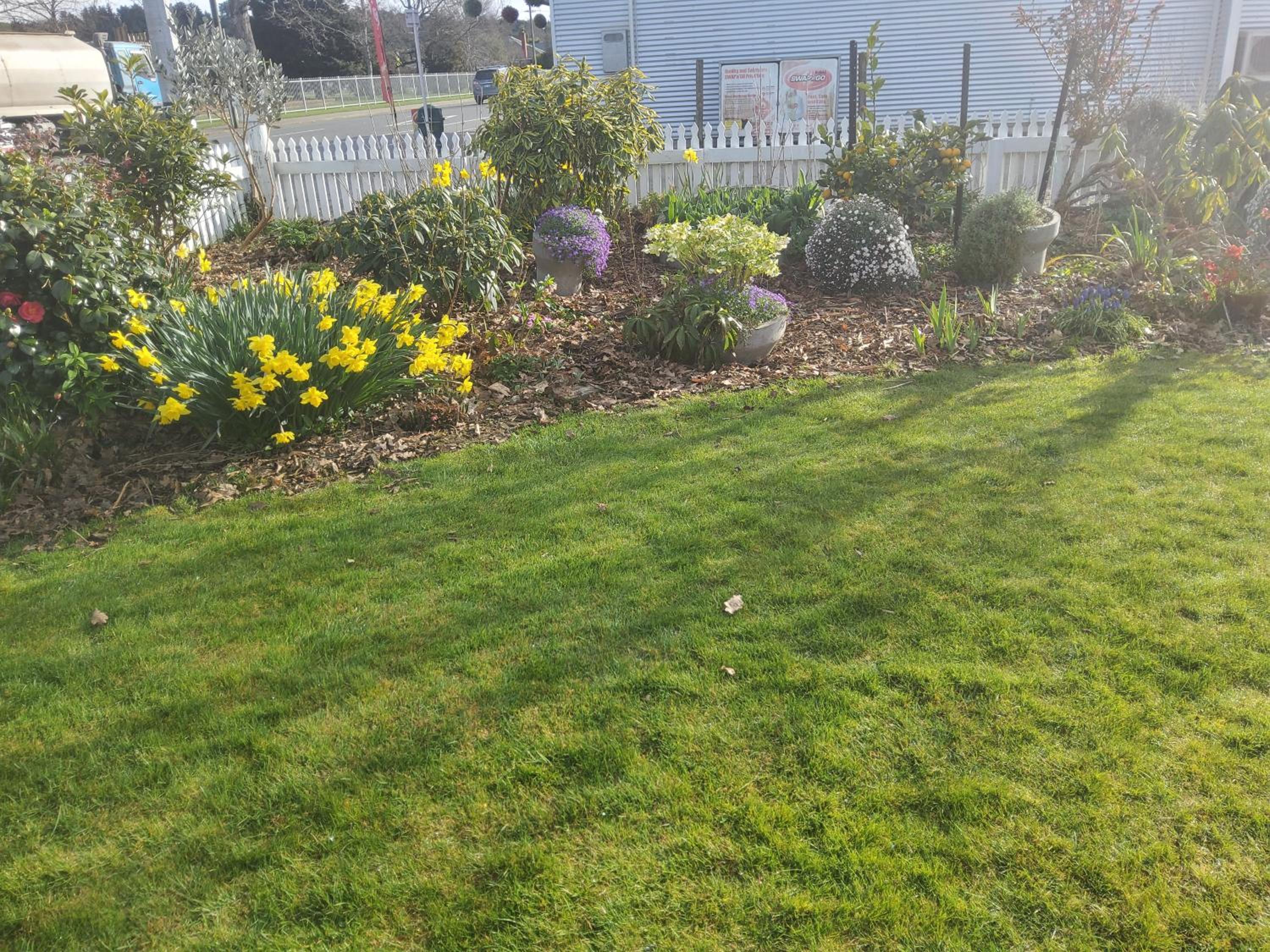 Photo 17