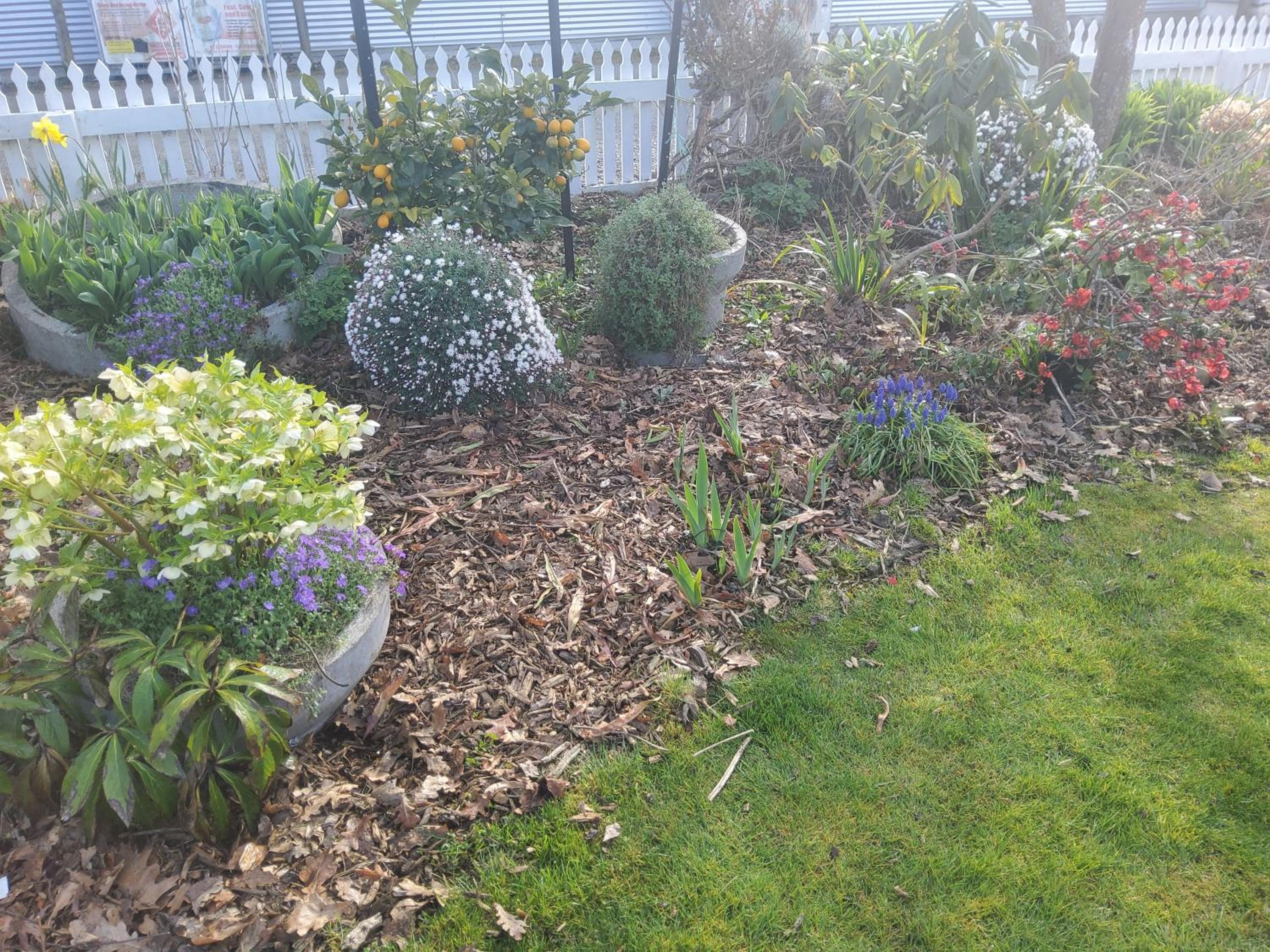 Photo 31