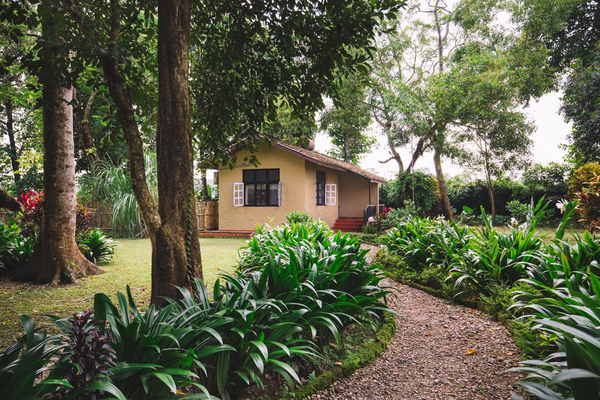 Green Mansions Jungle Resort