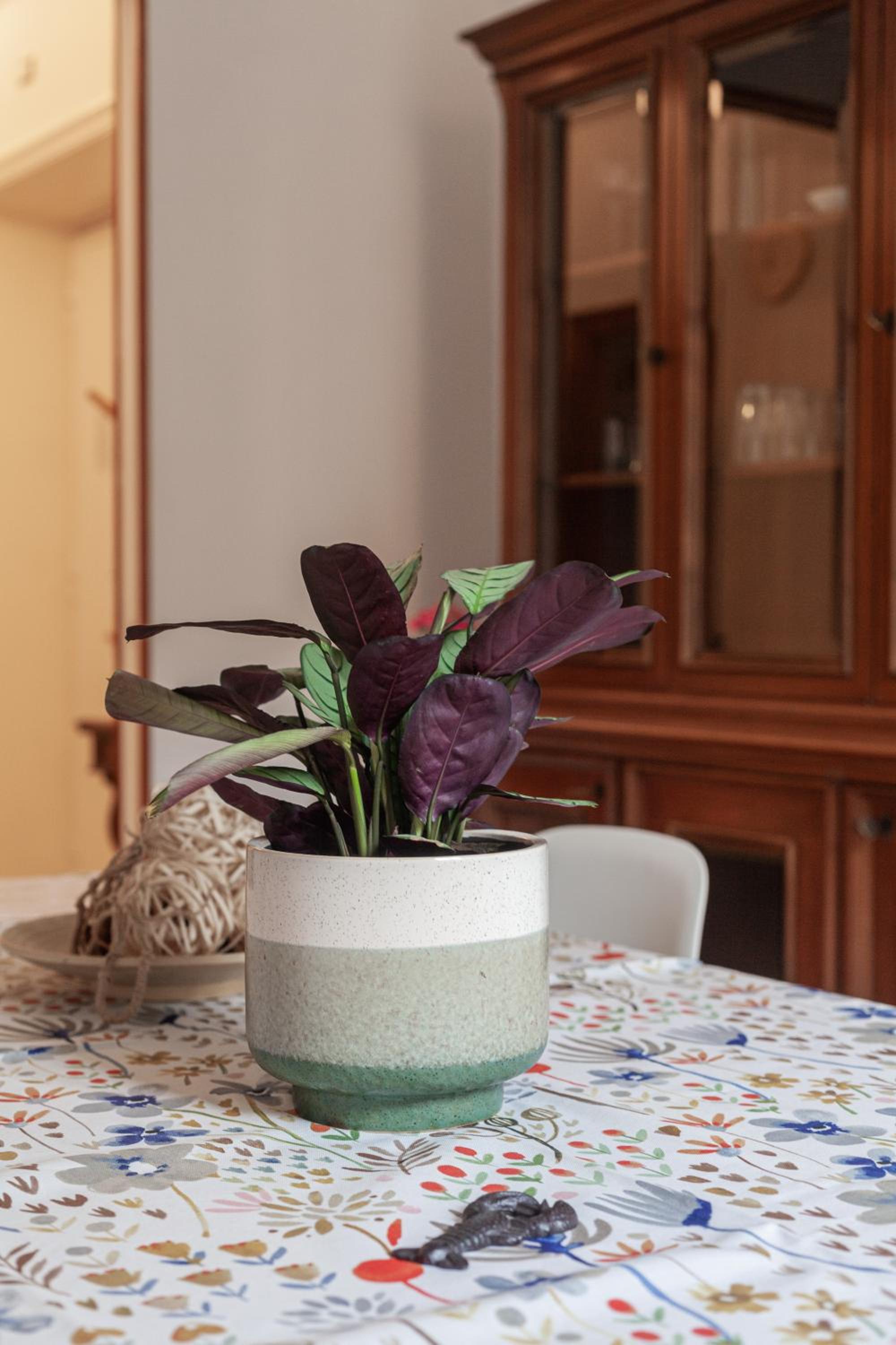 Il Melograno Holiday House