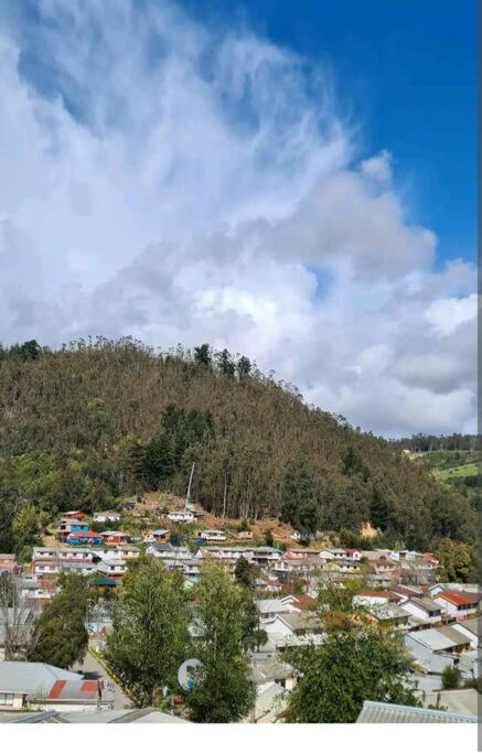 EL GRAN ROBLE. view 5