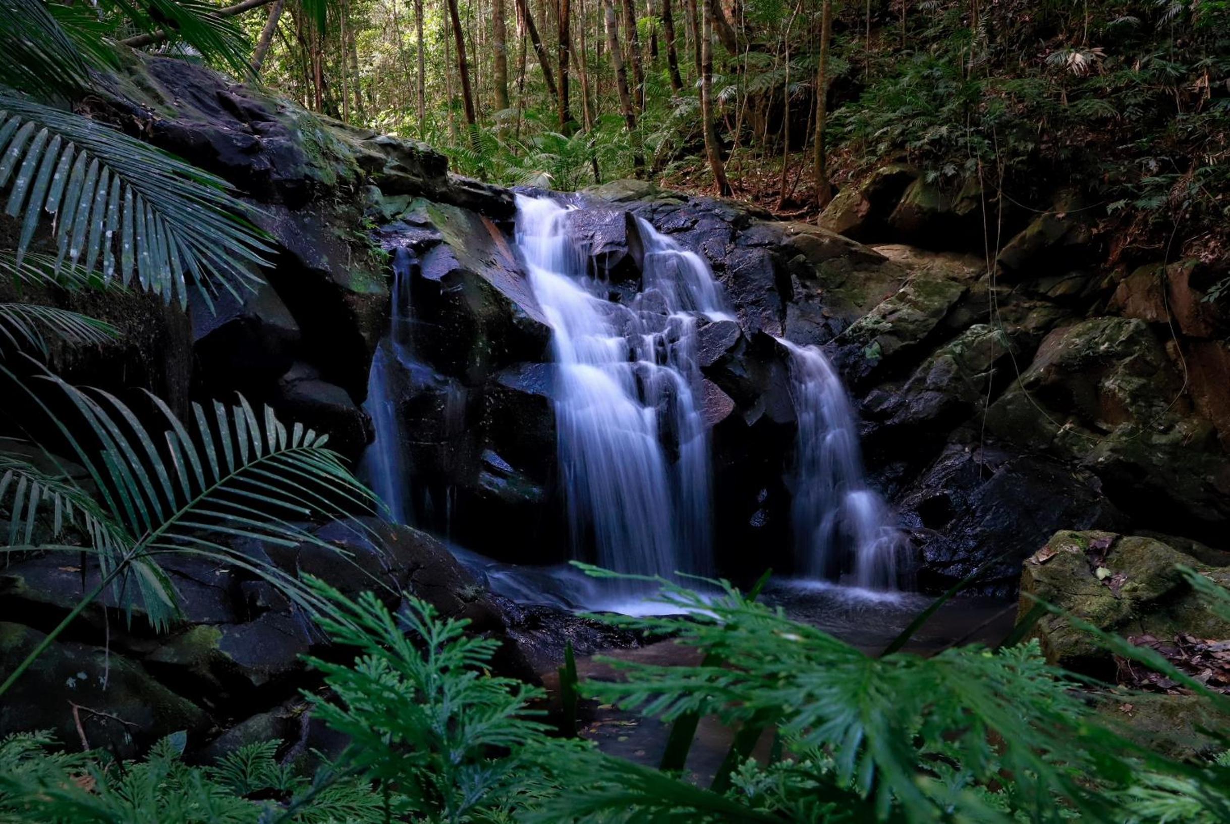 Rose Gums Wilderness Retreat