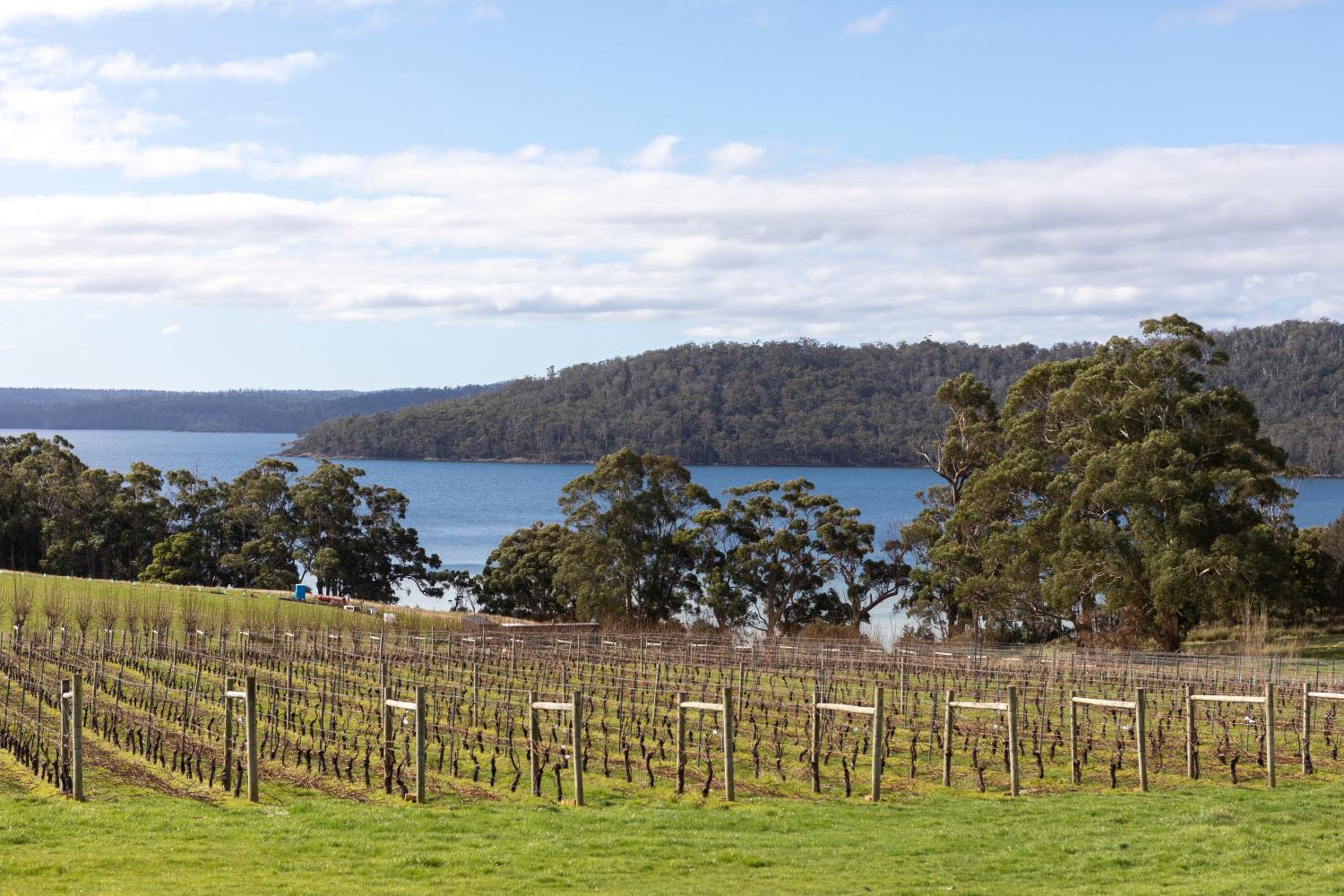 Norfolk Bay Retreat - views over the sea and vines