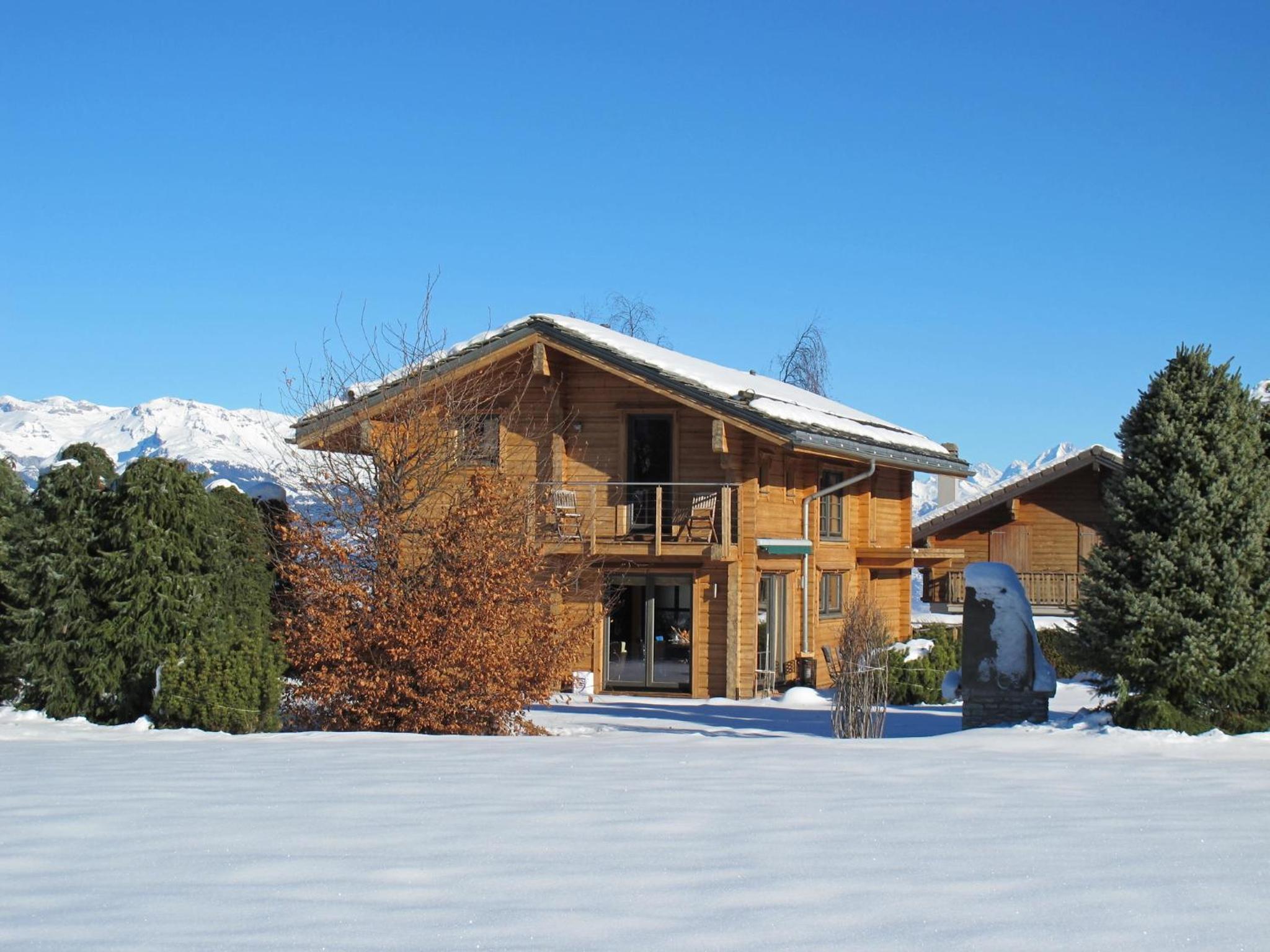 Chalet CALIN NEND100