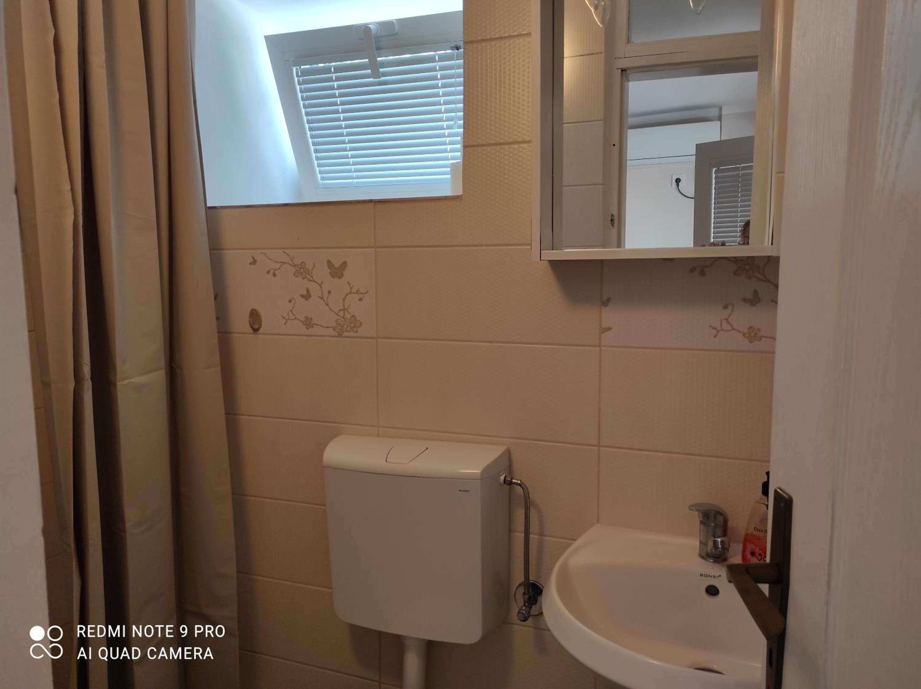 Apartman Pijavica view 5