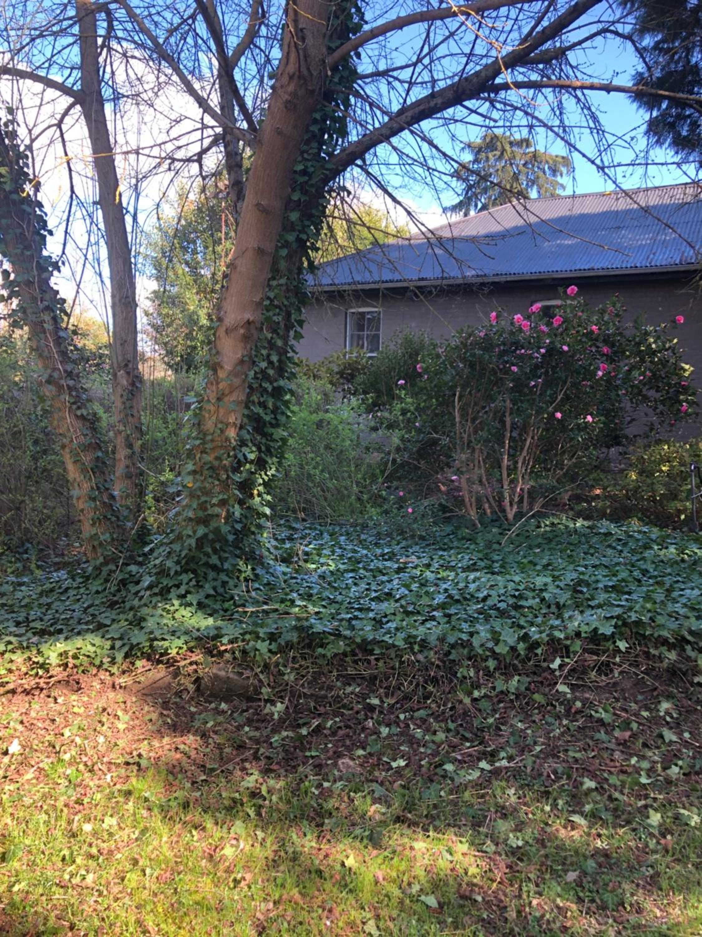 Black Range Erin Cottage, Tumbarumba