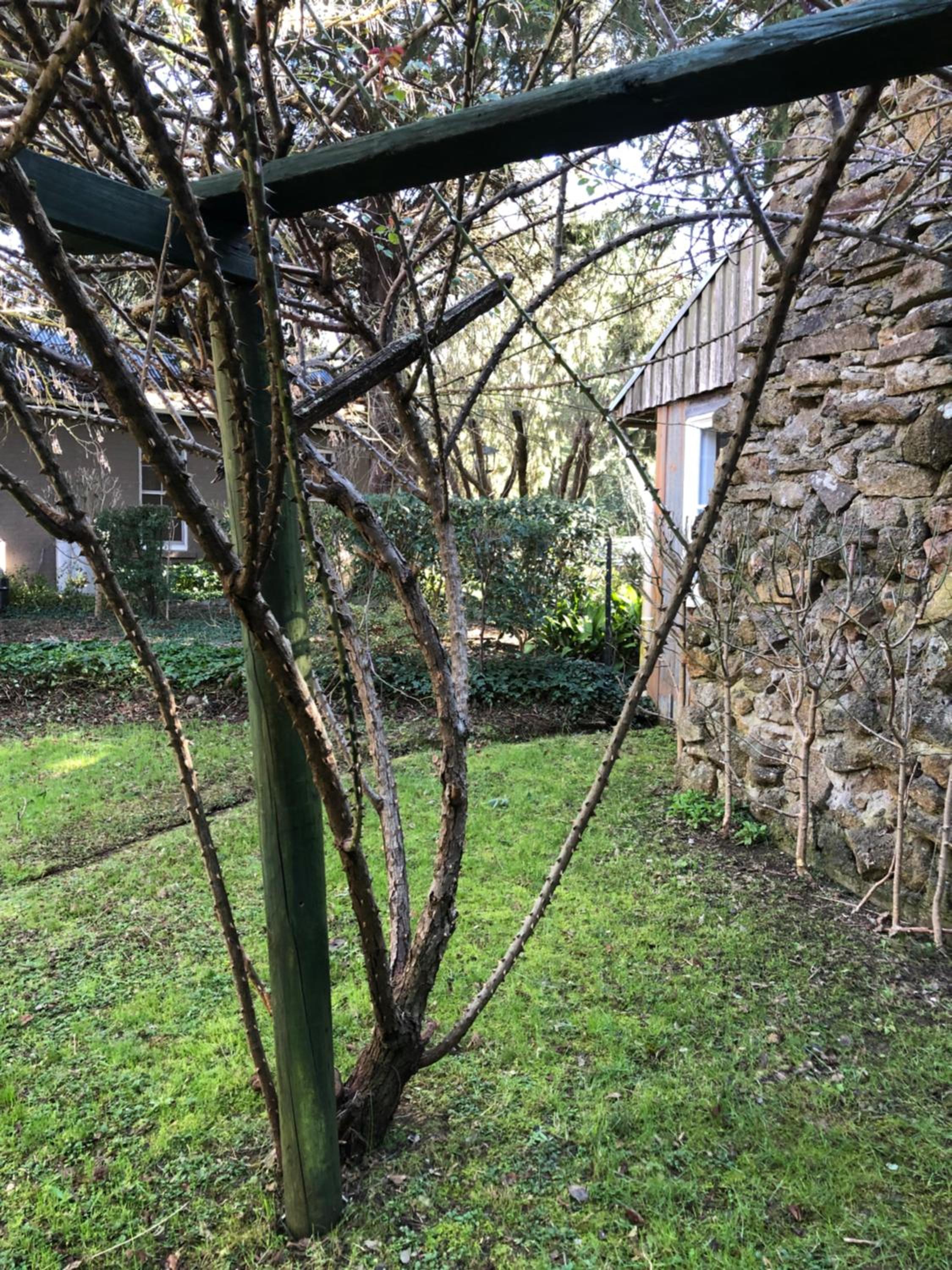 Black Range Erin Cottage, Tumbarumba