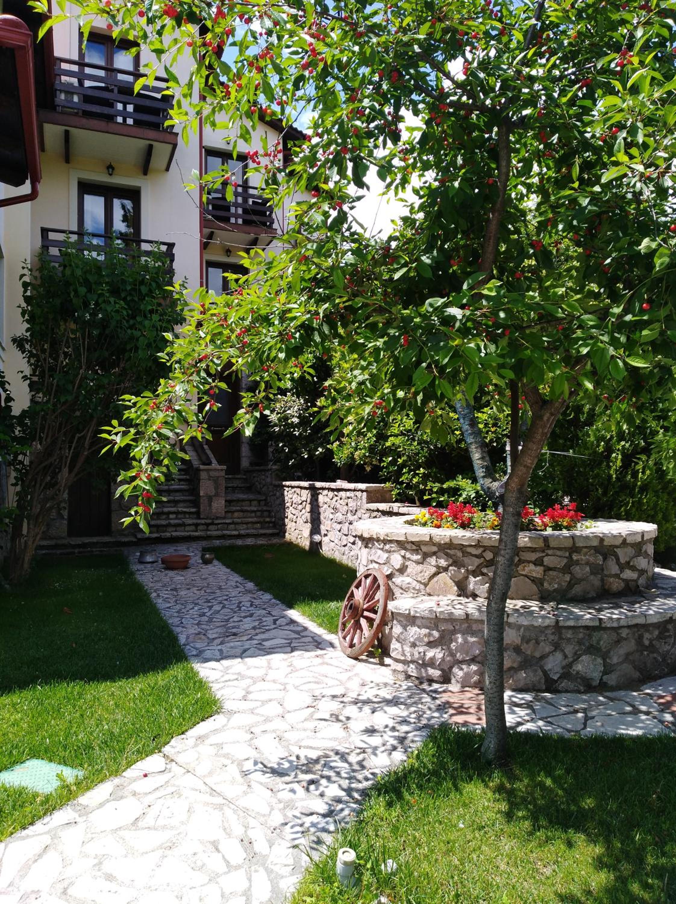 Dryas Guesthouse