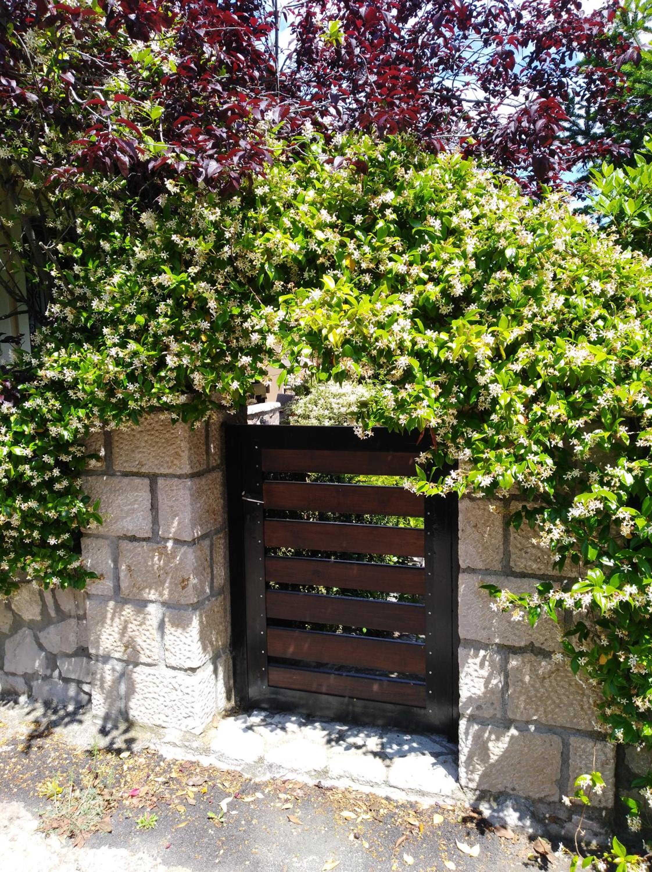 Dryas Guesthouse