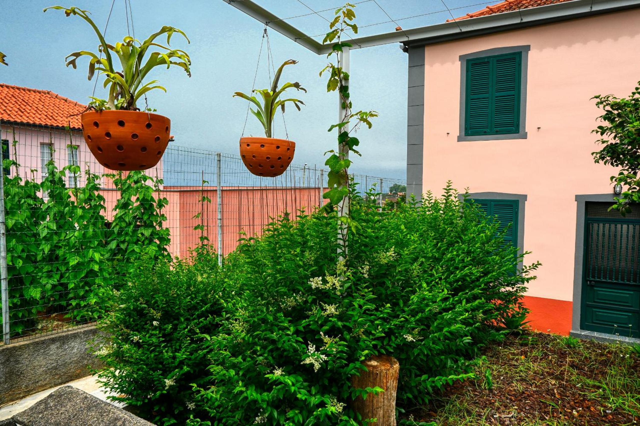 Os Ferreirinhos, a Home in Madeira view 2