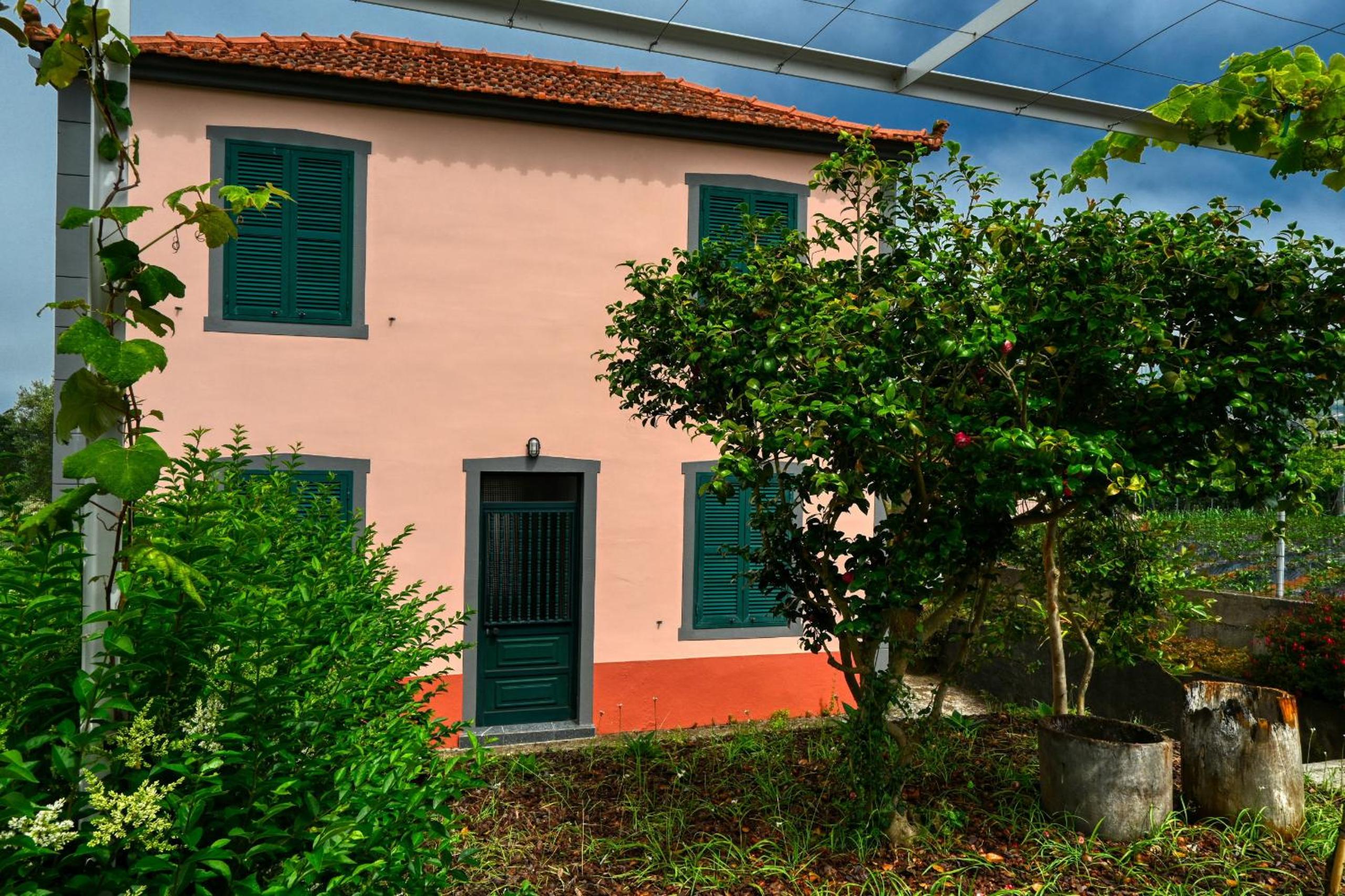 Os Ferreirinhos, a Home in Madeira view 3