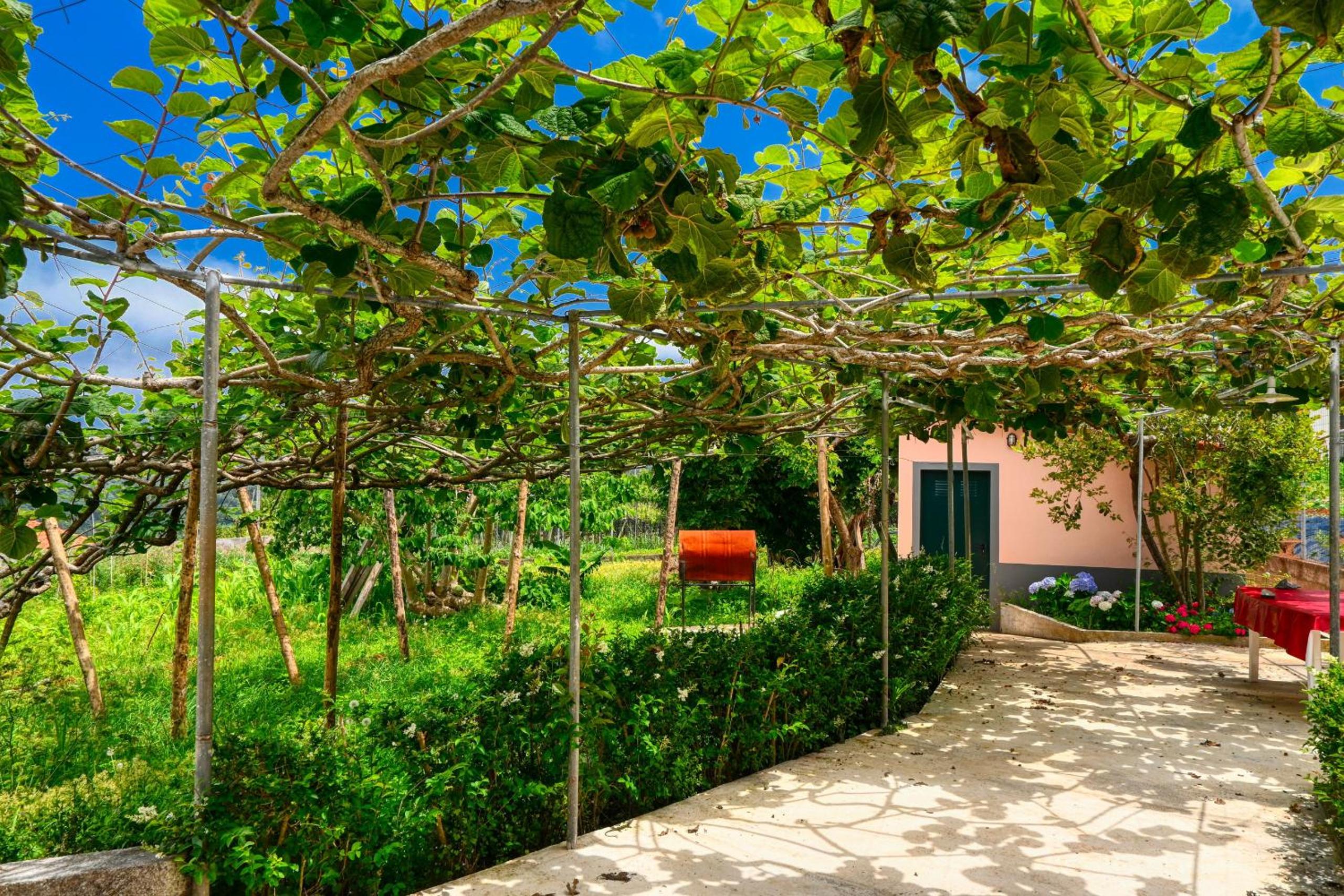 Os Ferreirinhos, a Home in Madeira view 4