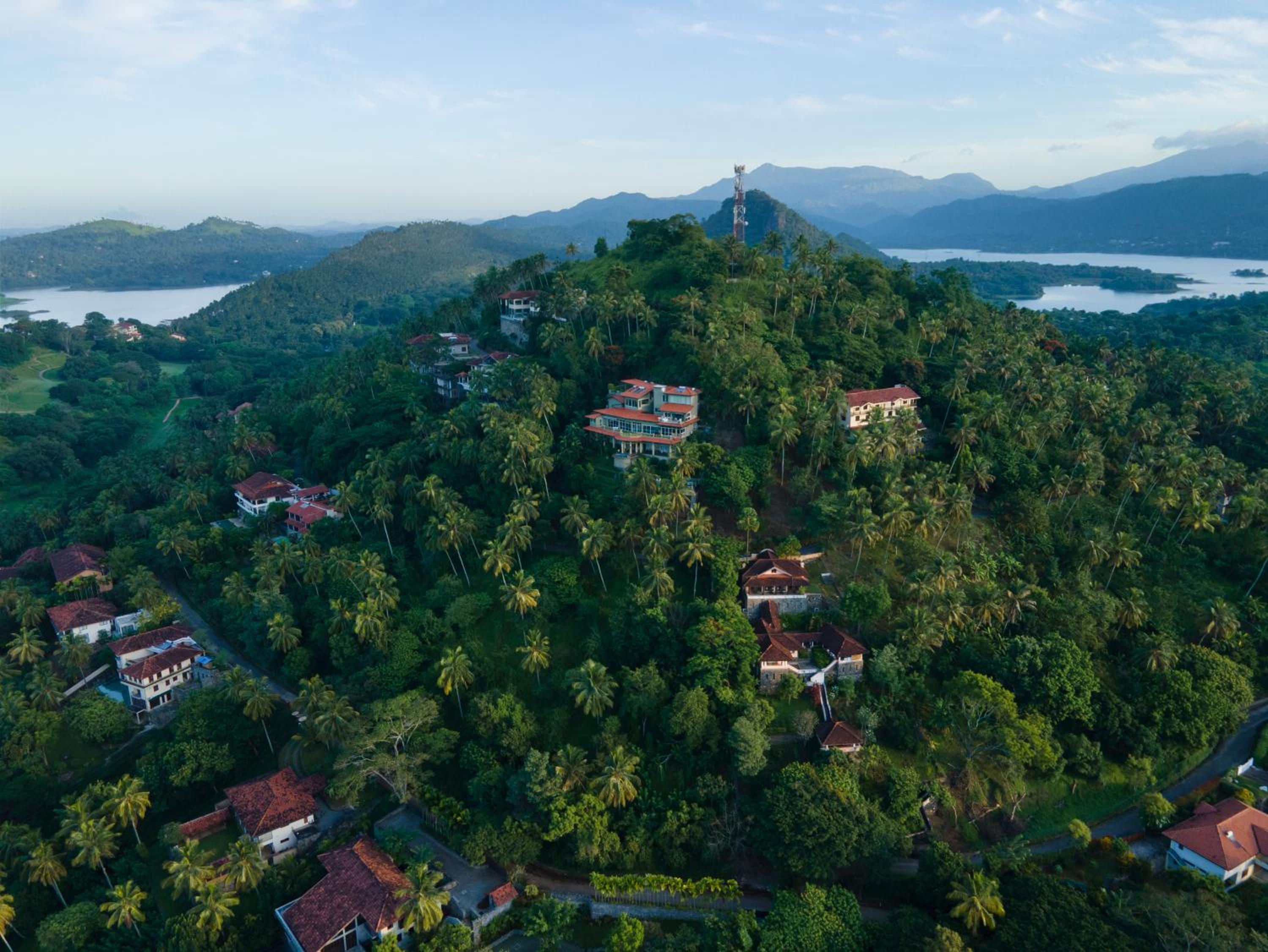 The Albatross, Kandy