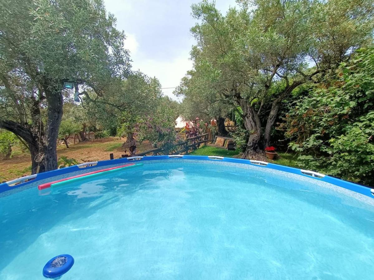 The Treehouse - Casa sull'albero al Golden Camp