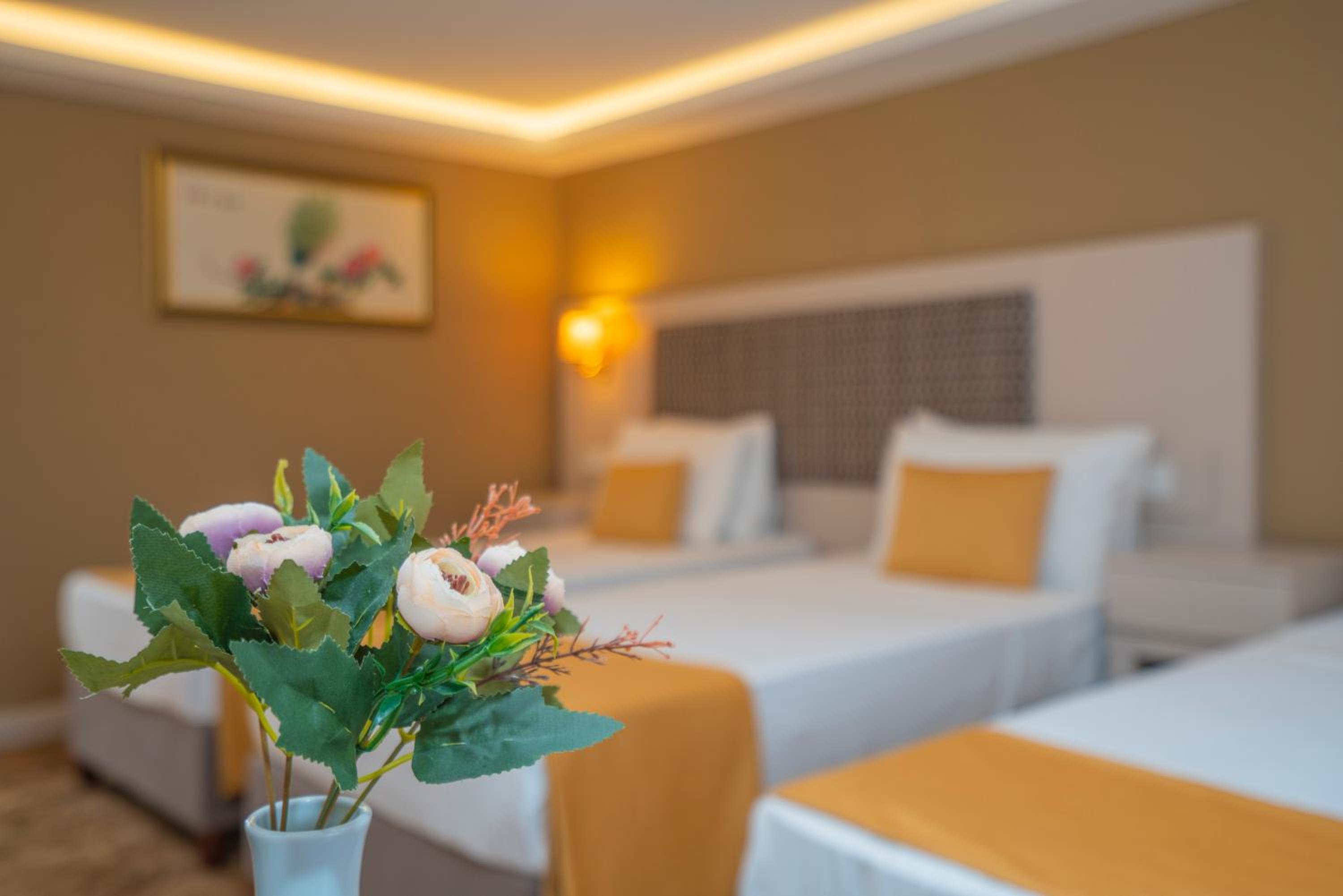 Topkapi Old City Kensington Hotel ISTANBUL - Image 14