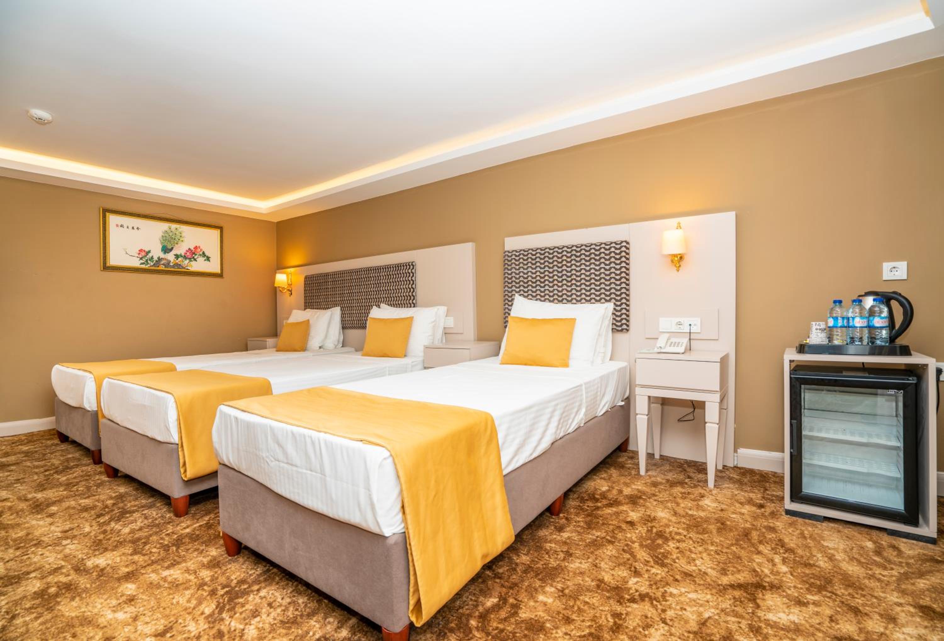 Topkapi Old City Kensington Hotel ISTANBUL - Image 47