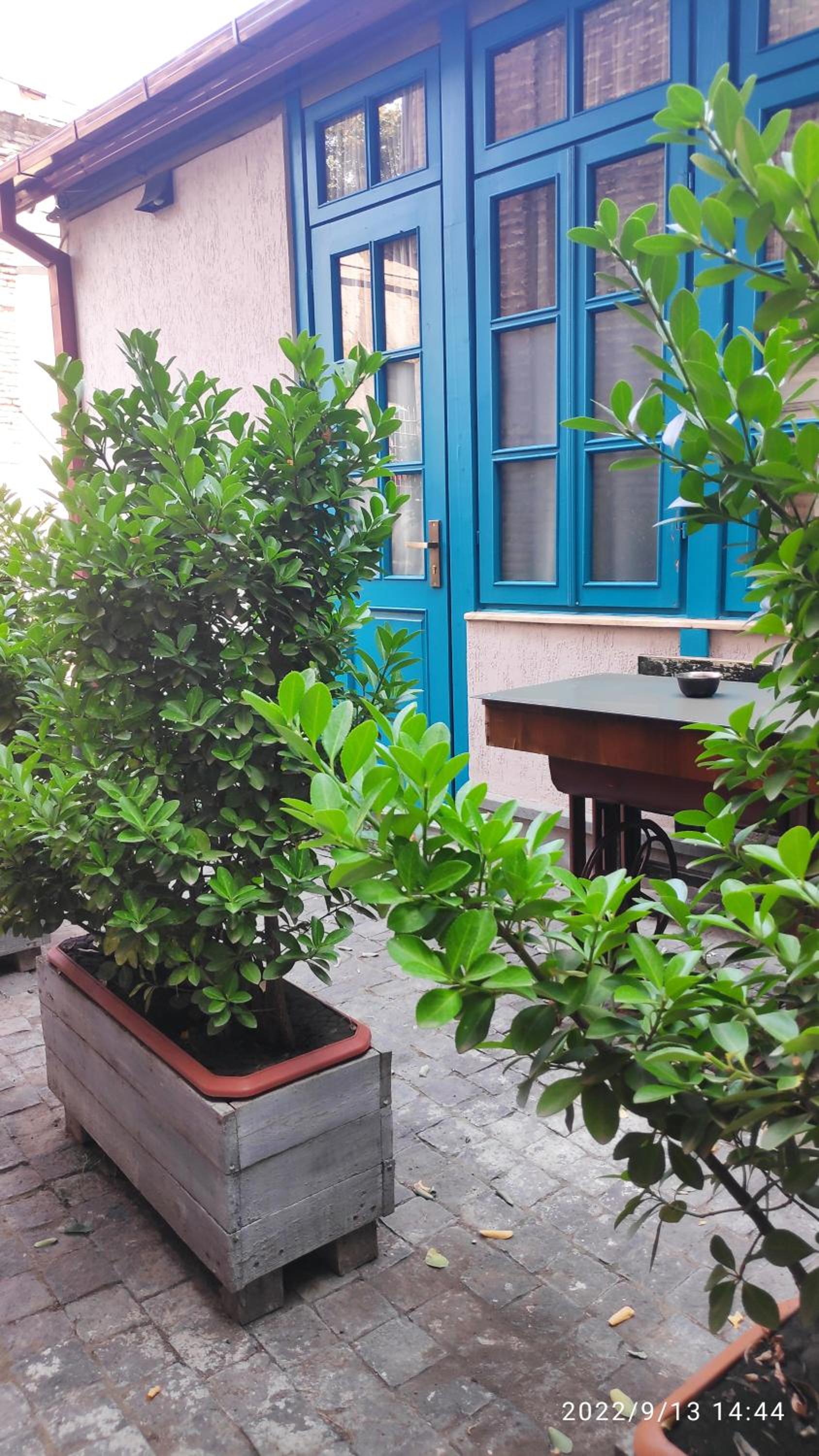 Photo 14