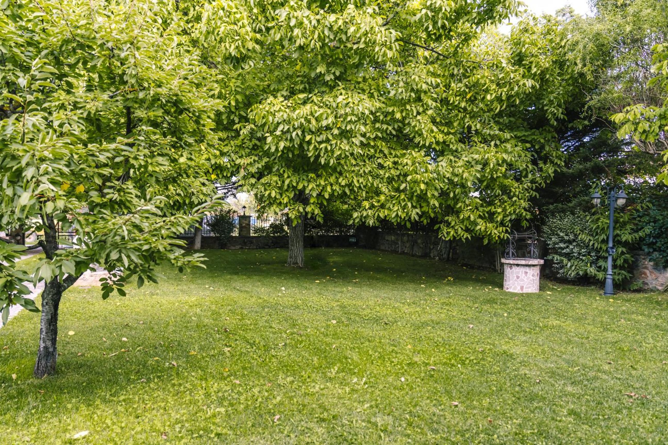 Photo 36