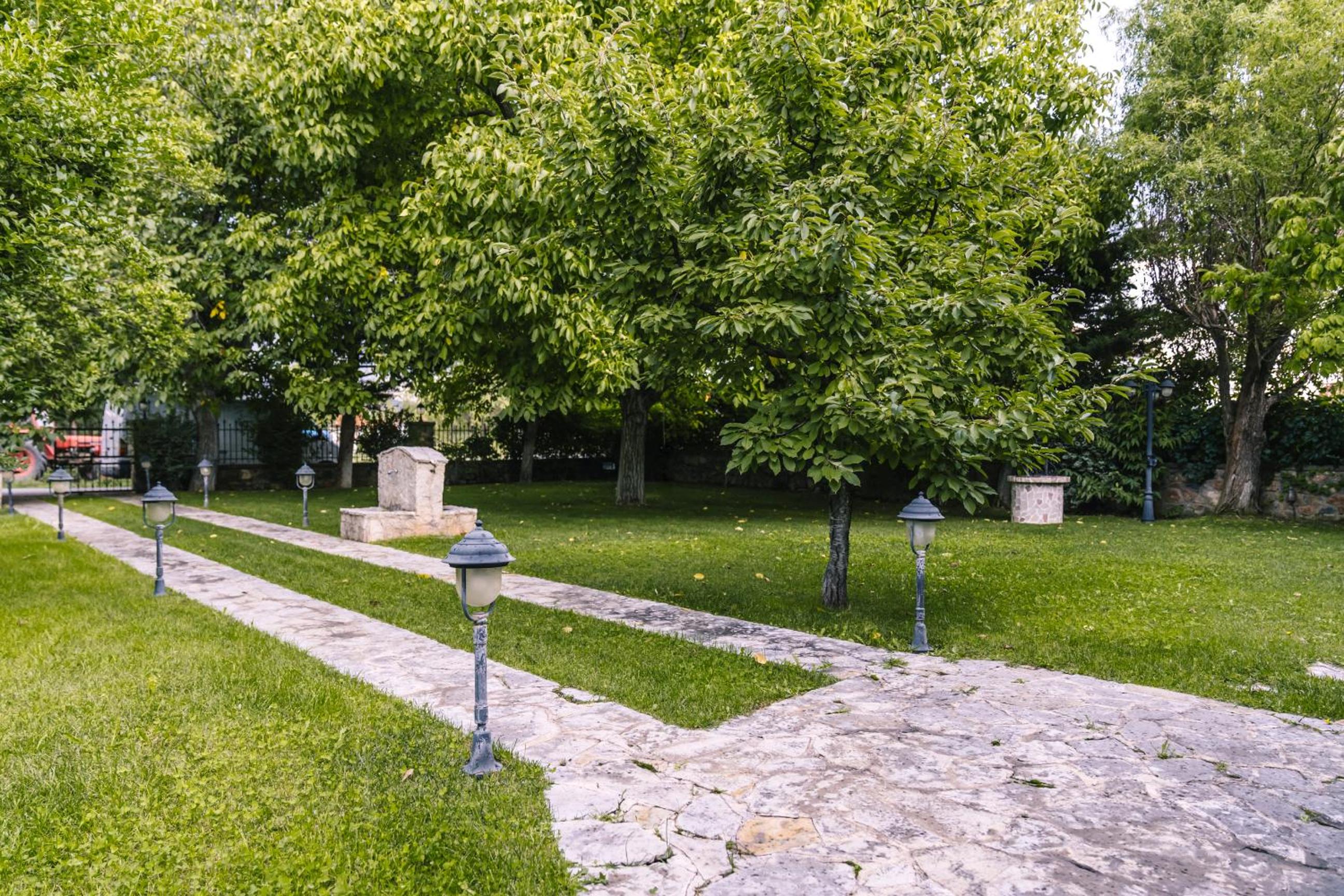 Photo 40