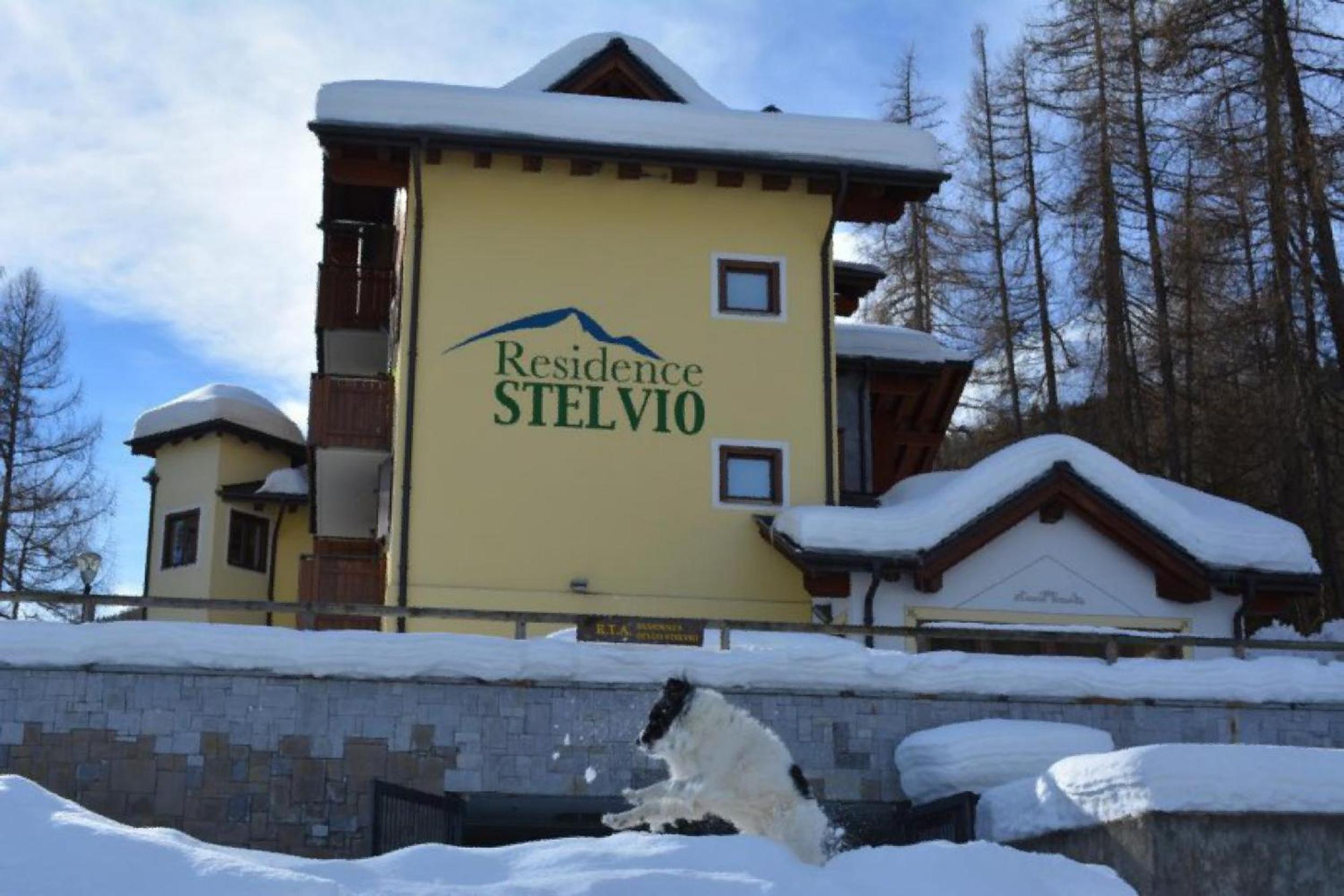 Residence Stelvio