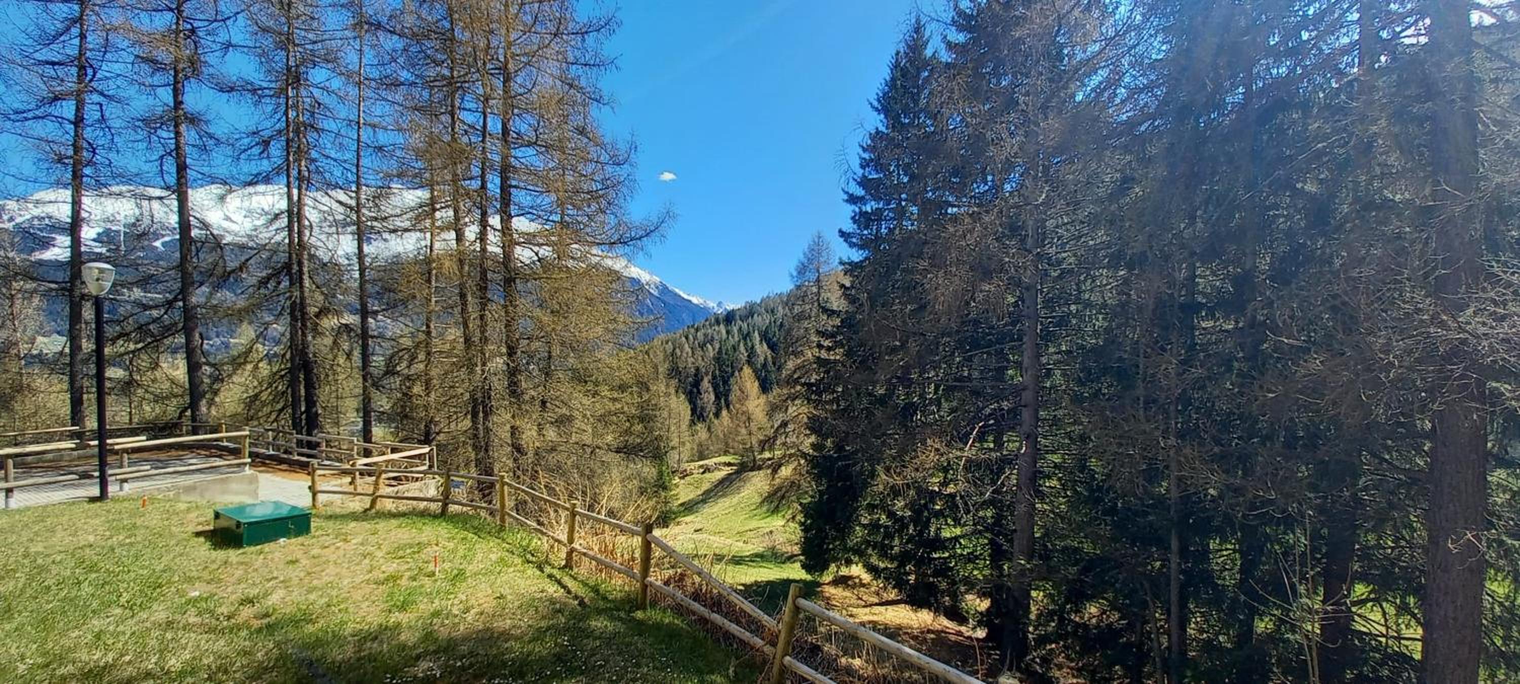 Residence Stelvio
