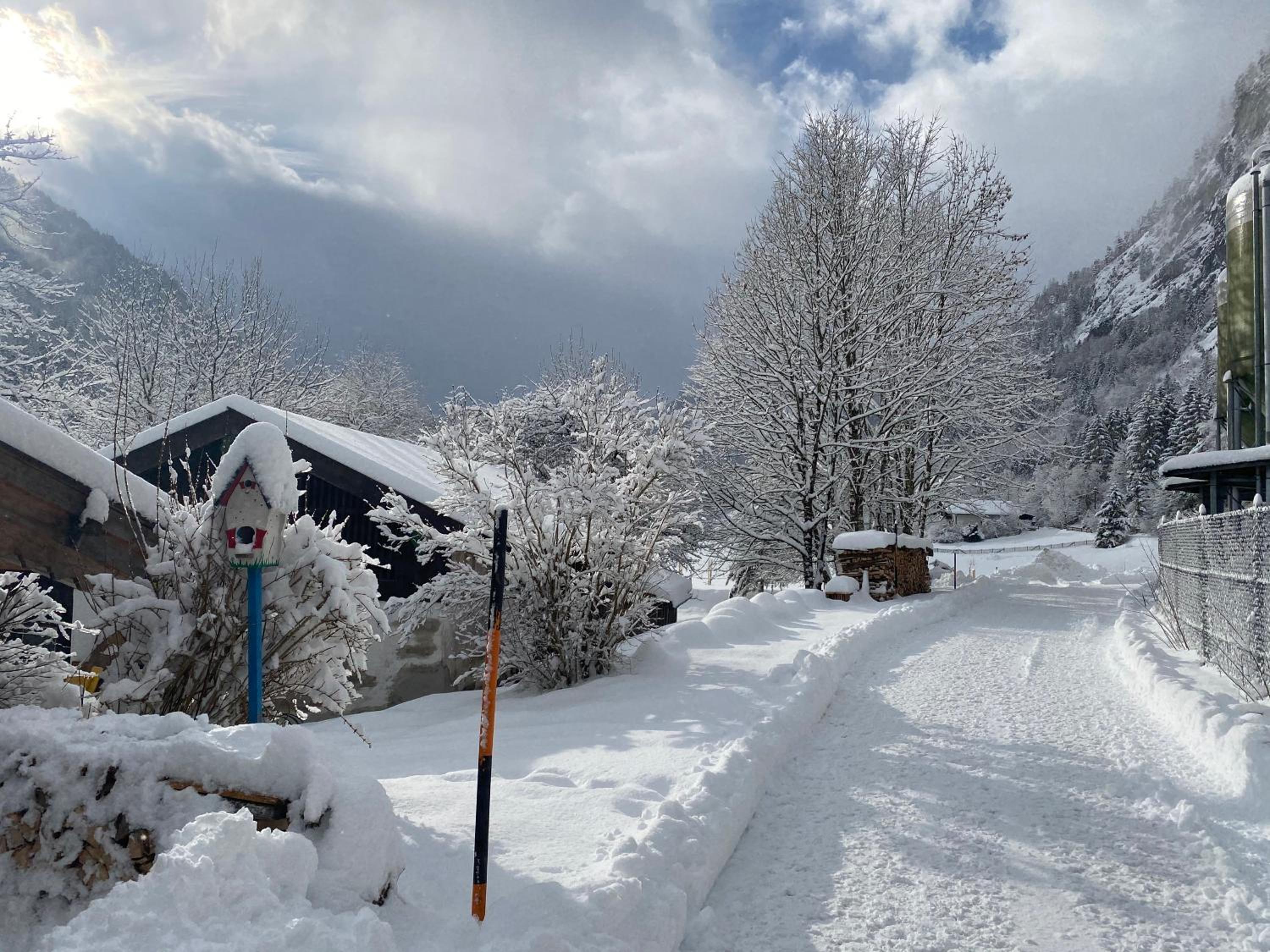 Nickis Bergcamp