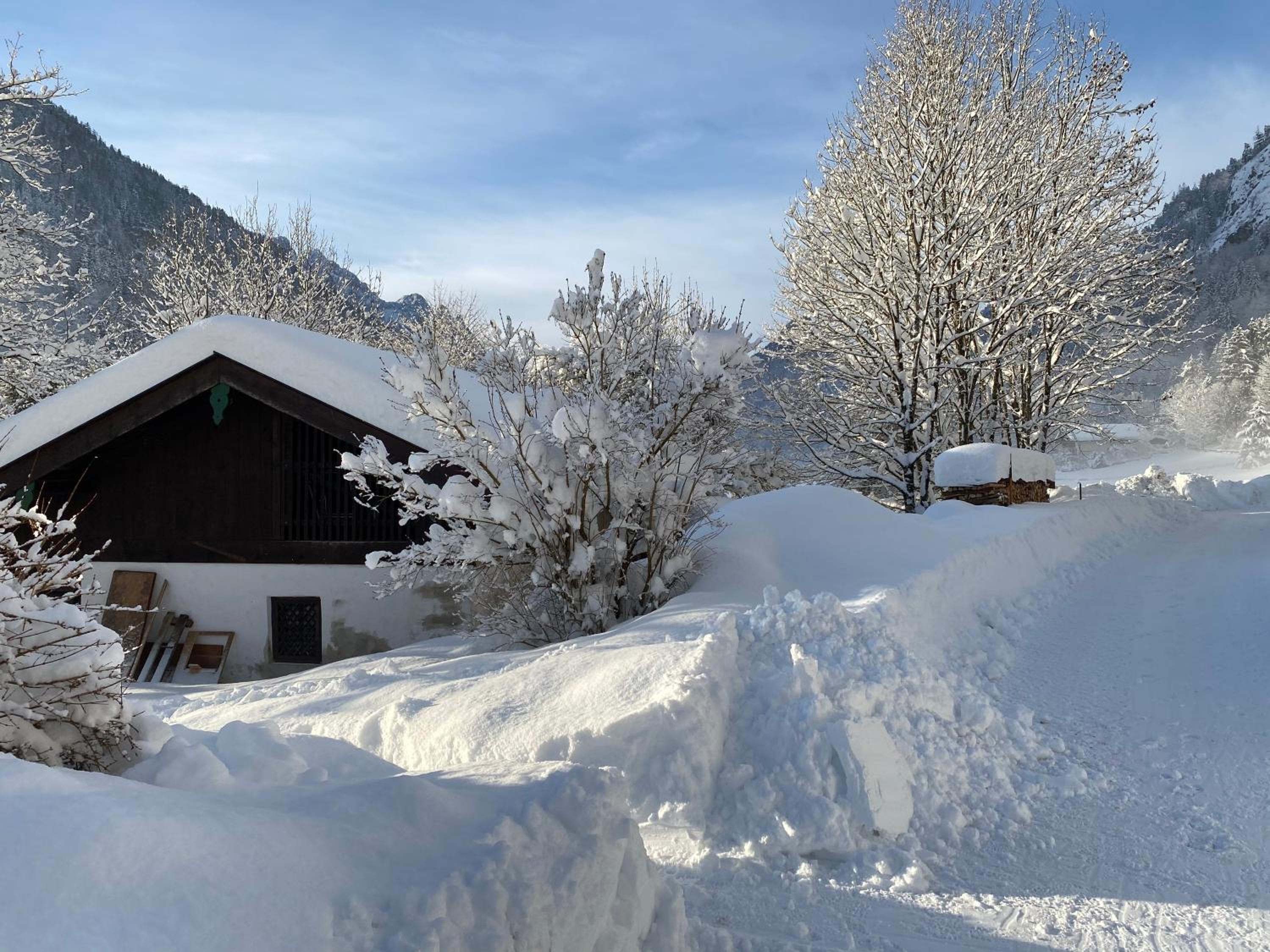 Nickis Bergcamp