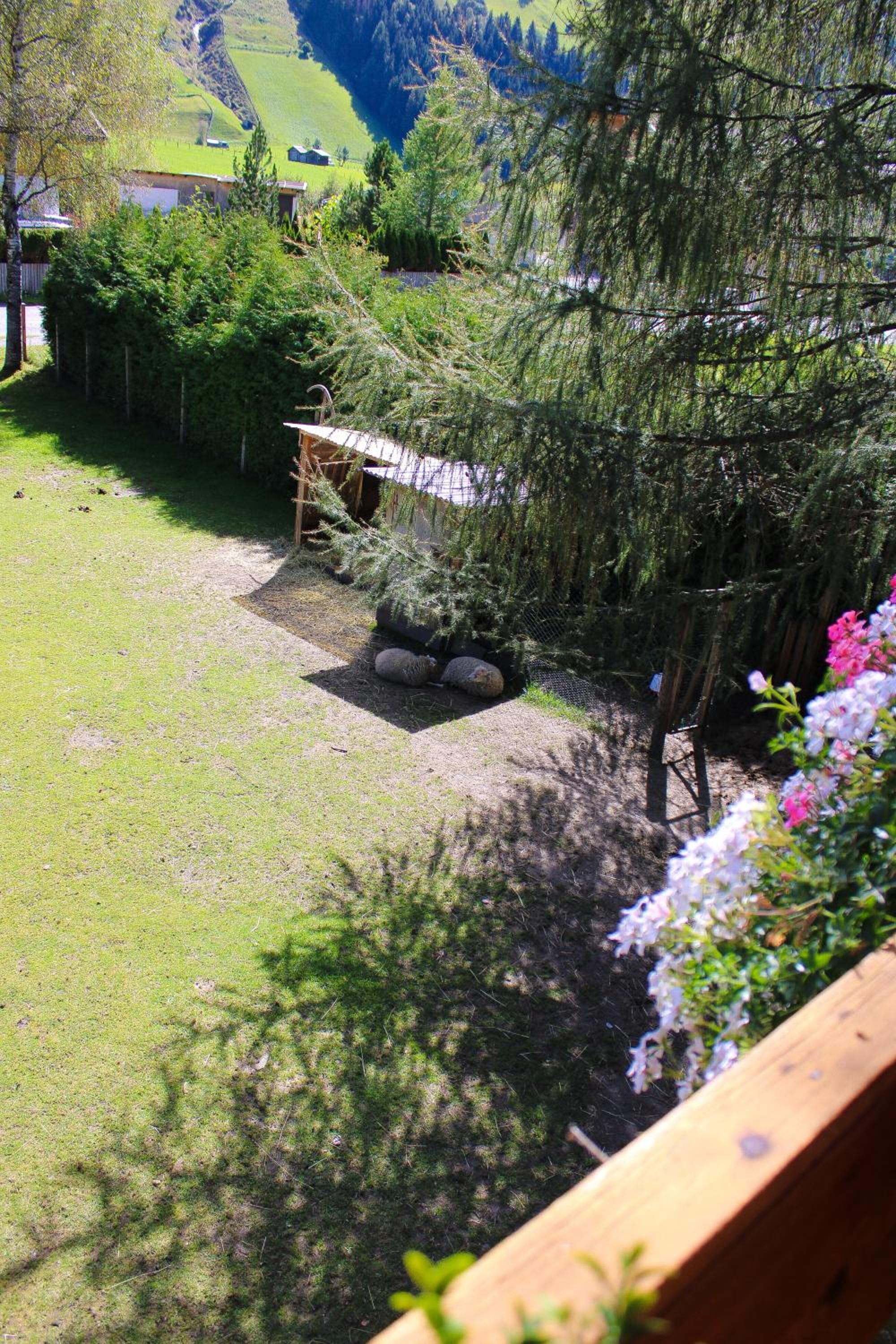 Photo 40