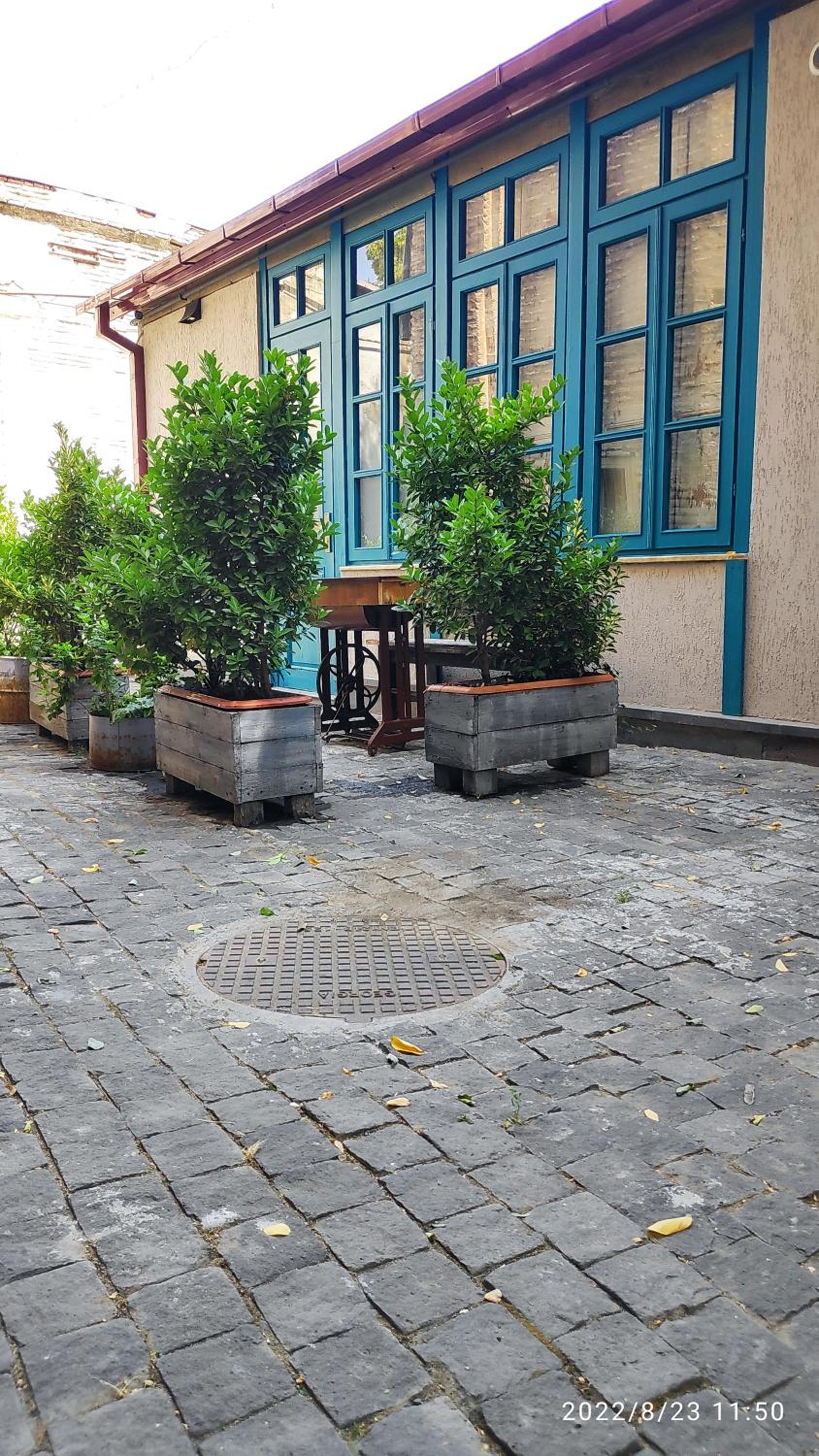 Photo 11