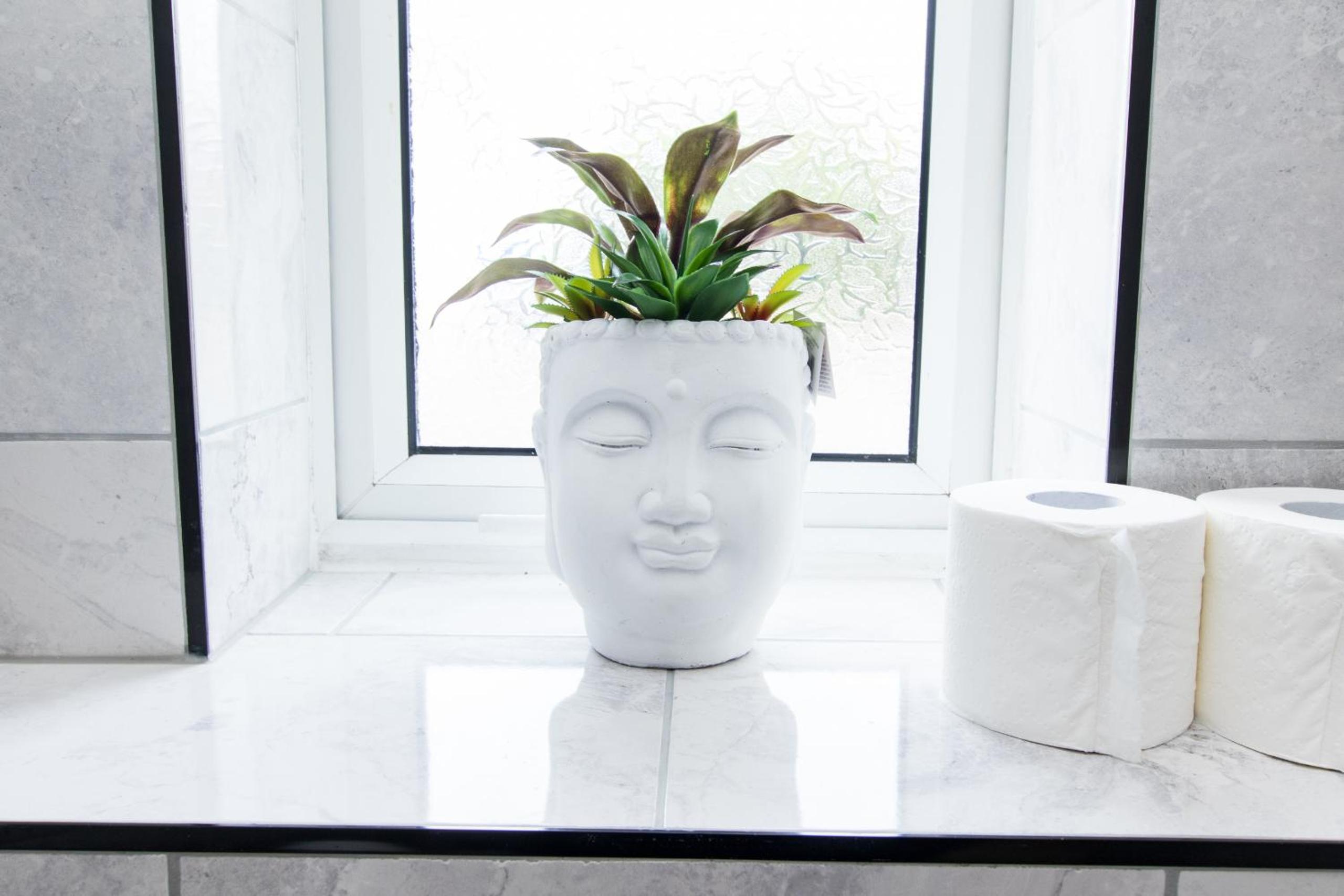 K Suites - Flat 110 Fulbridge Road view 3
