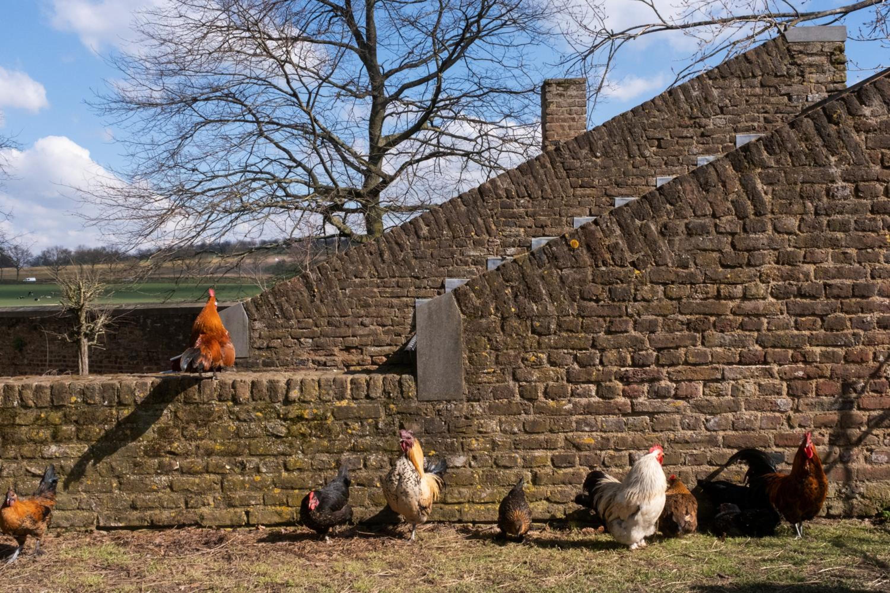 Meschermolen 13