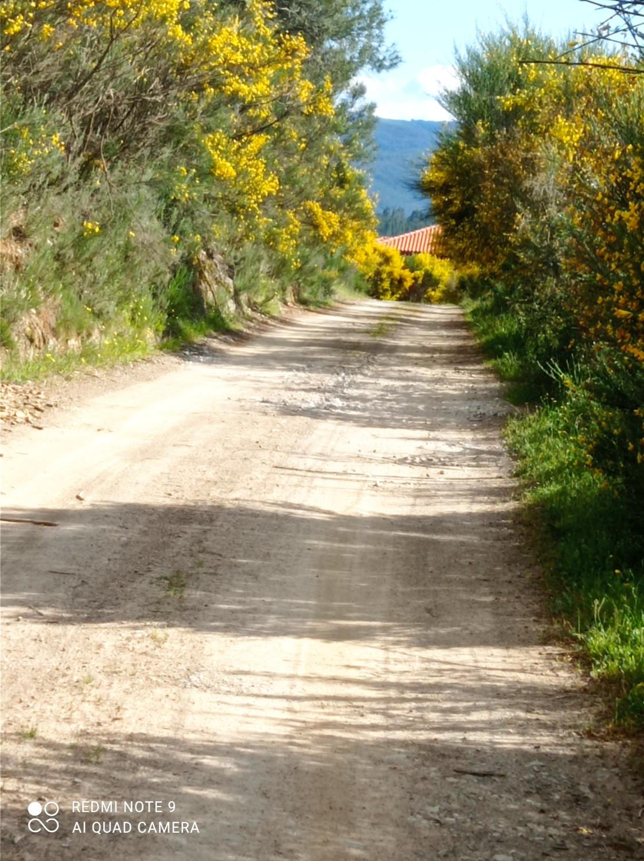 Quinta do Favacal - Agroturismo - Serra da Estrela view 5