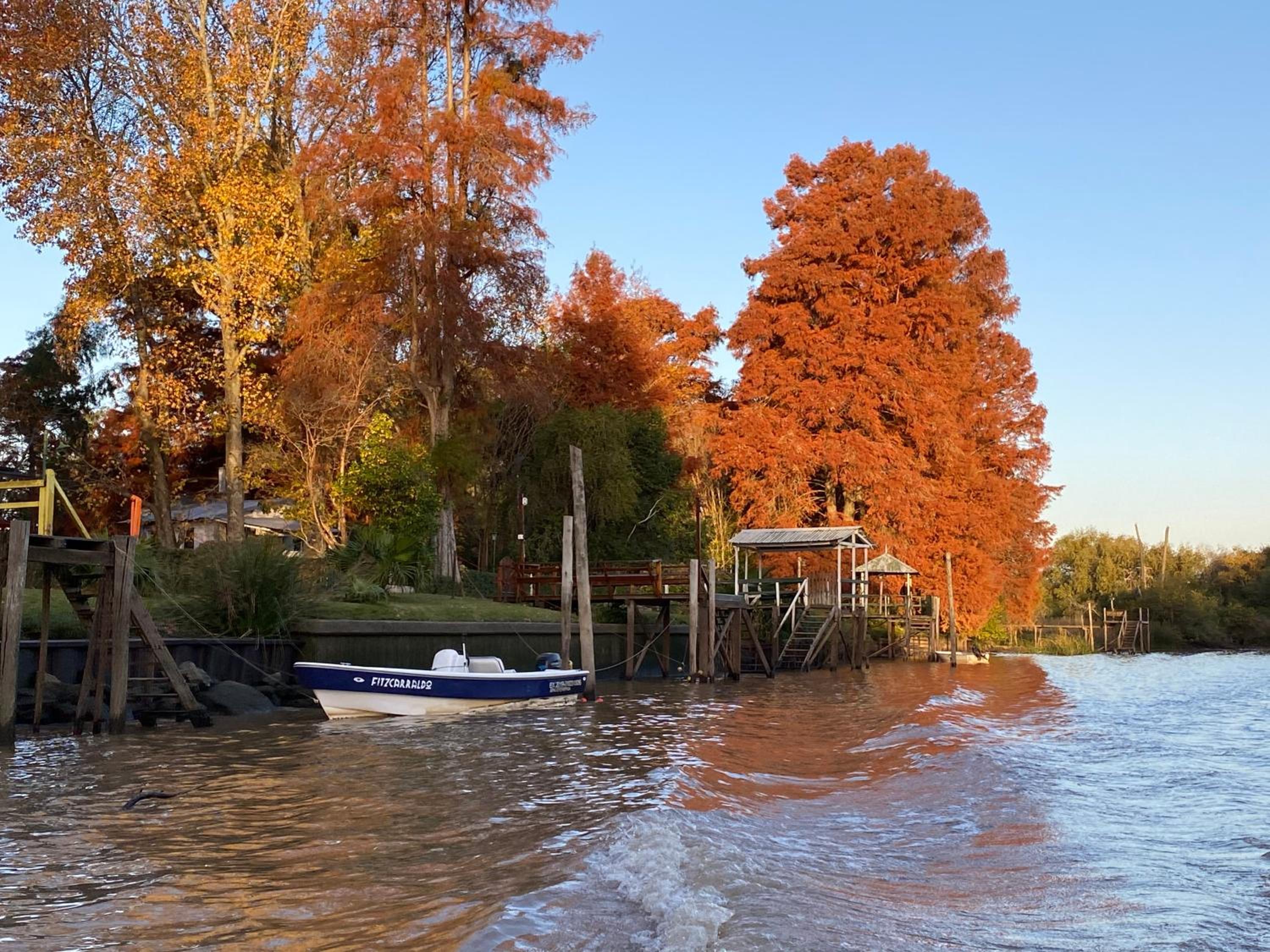 Cabaña Magnolia en Marea Delta del Tigre