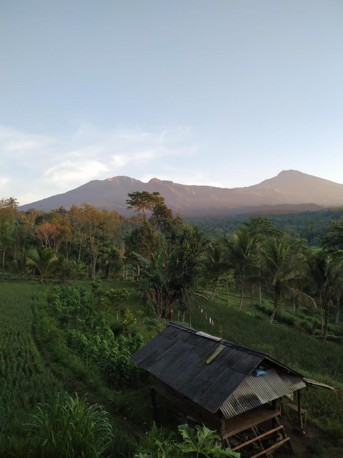 Tetebatu Mountain View Homestay