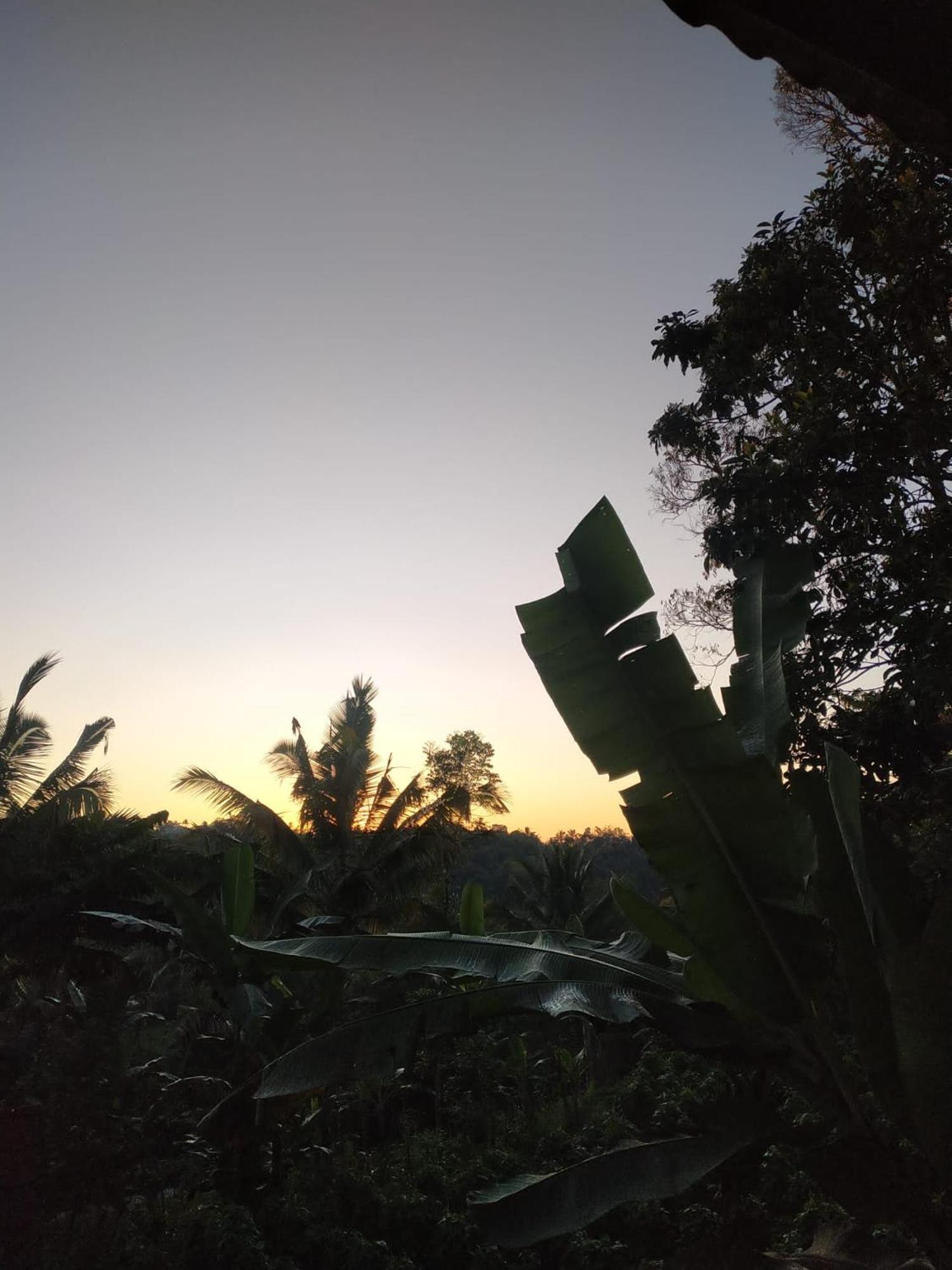 Tetebatu Mountain View Homestay