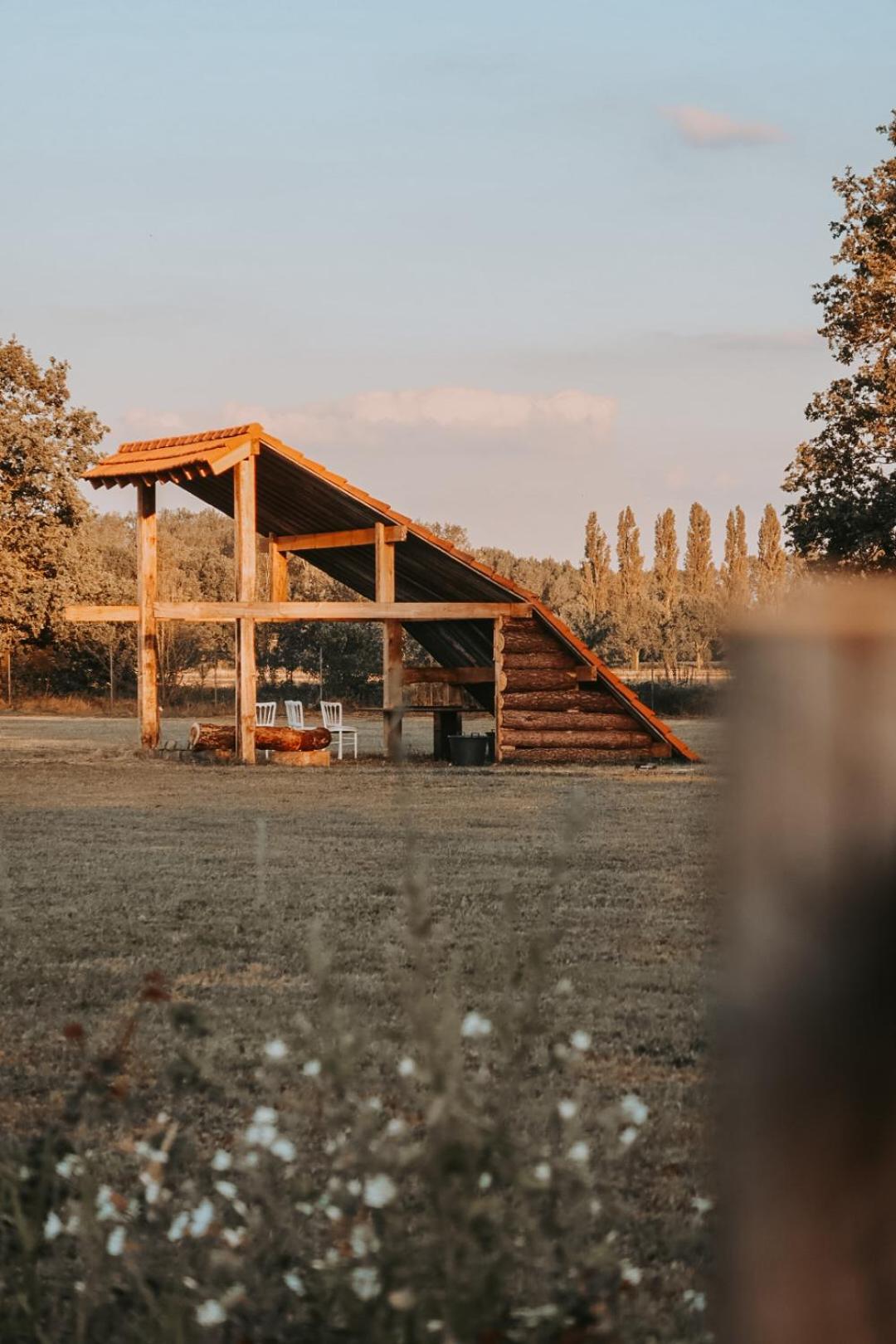Hoeve Twente - Oeverzwaluw